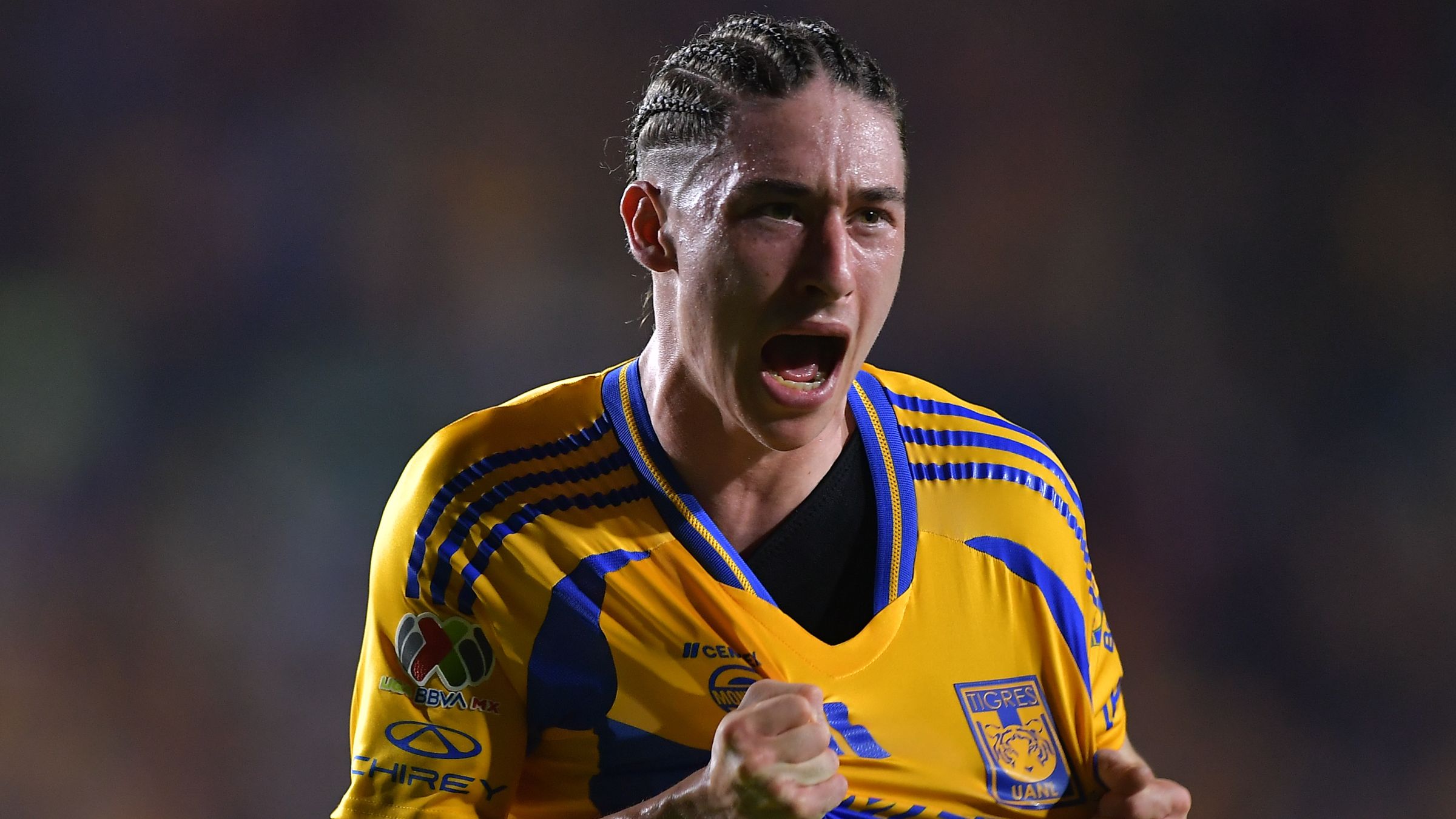 Tigres UANL and America - Torneo Apertura 2024 Liga MX