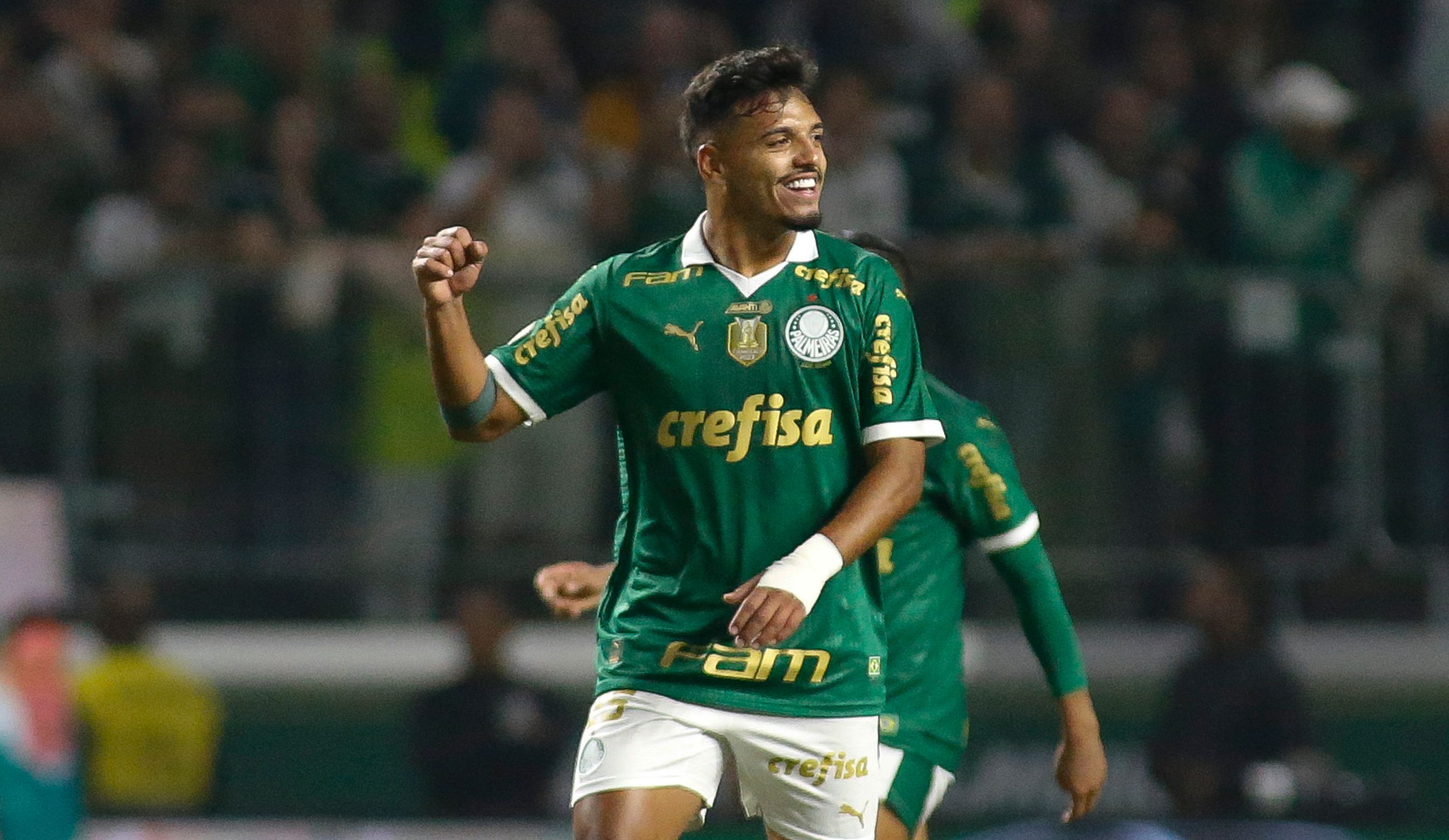 Palmeiras v Cruzeiro - Brasileirao 2024