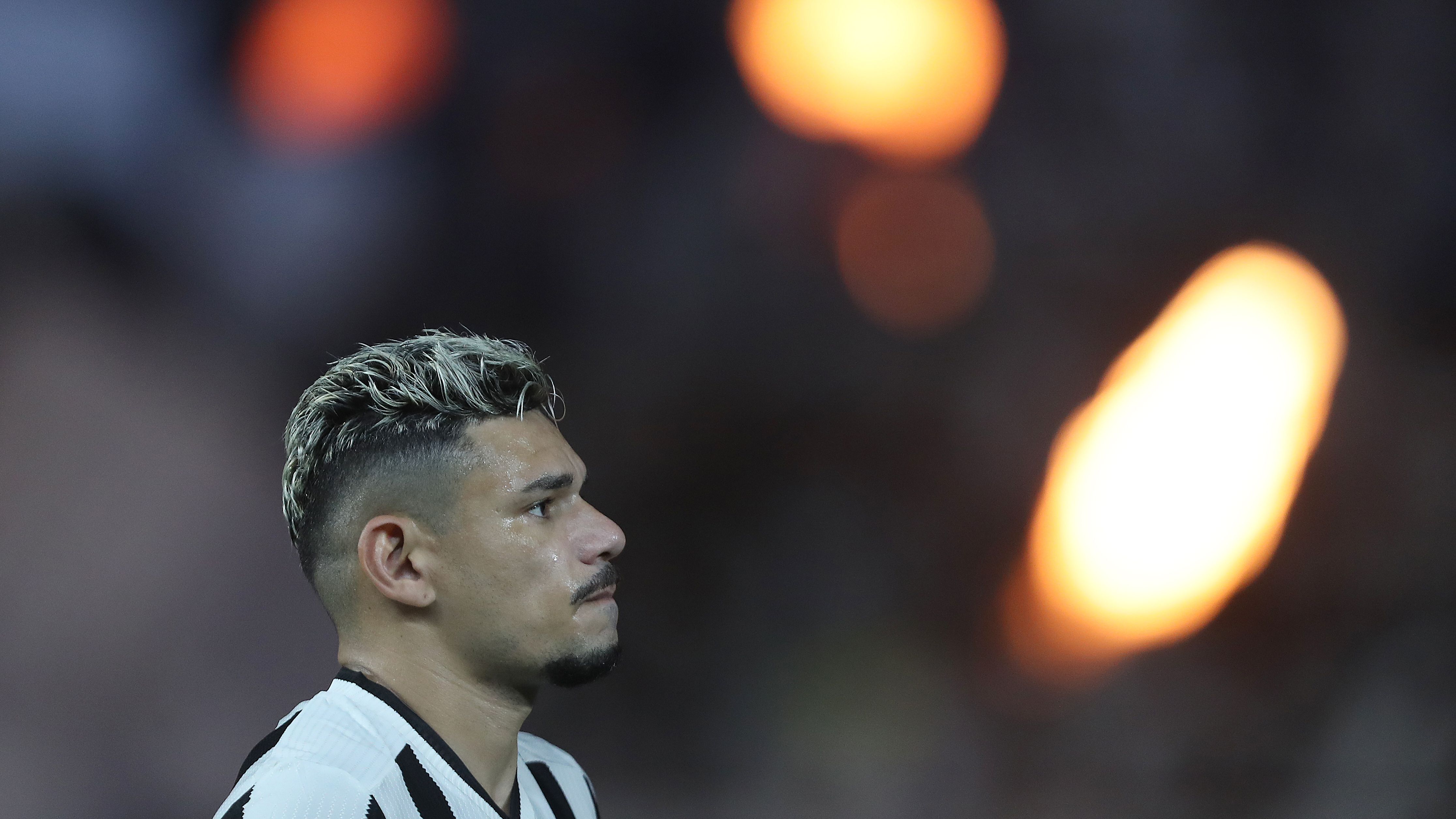 Botafogo v Cruzeiro - Brasileirao 2024