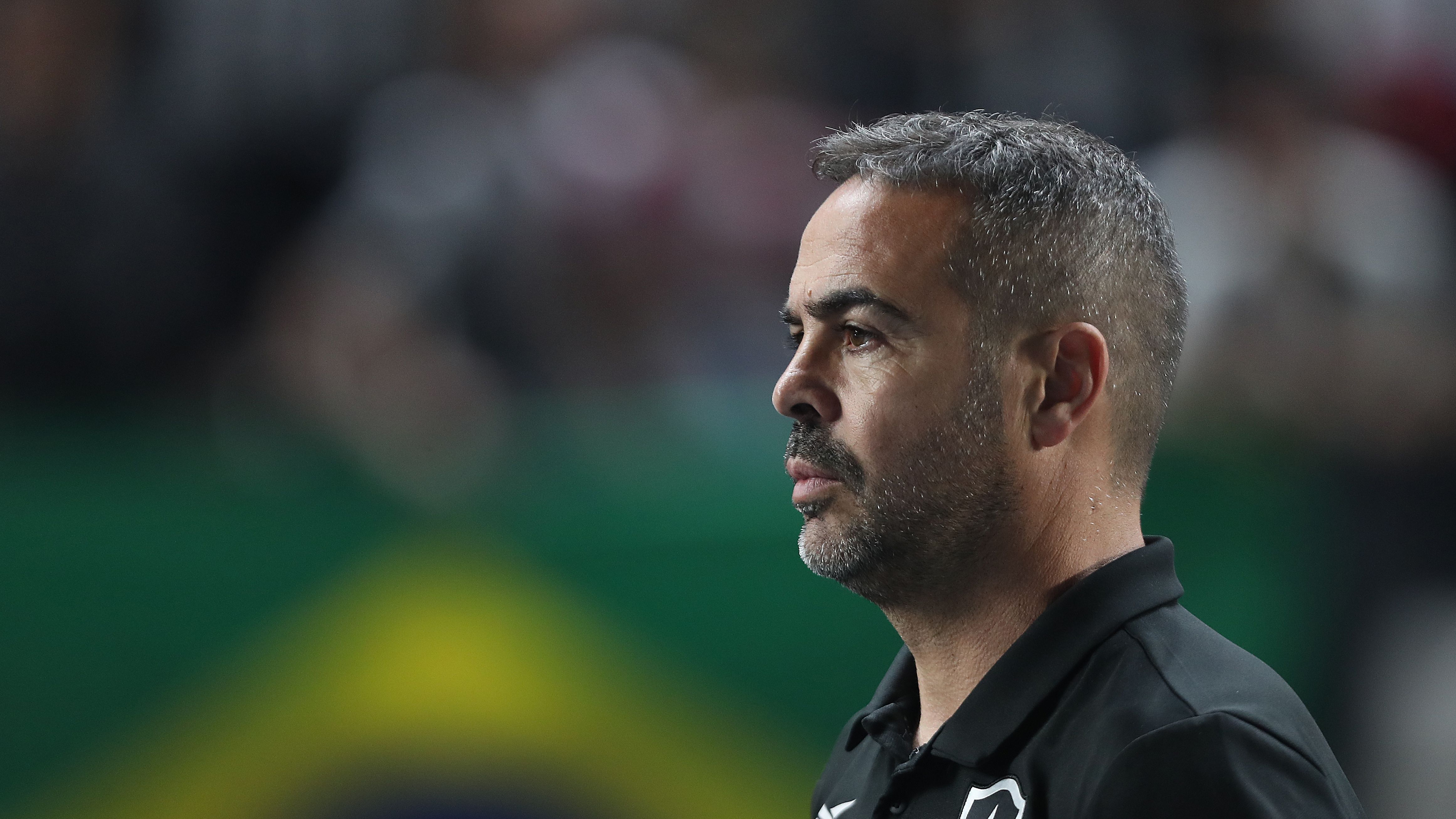 Botafogo v Cruzeiro - Brasileirao 2024