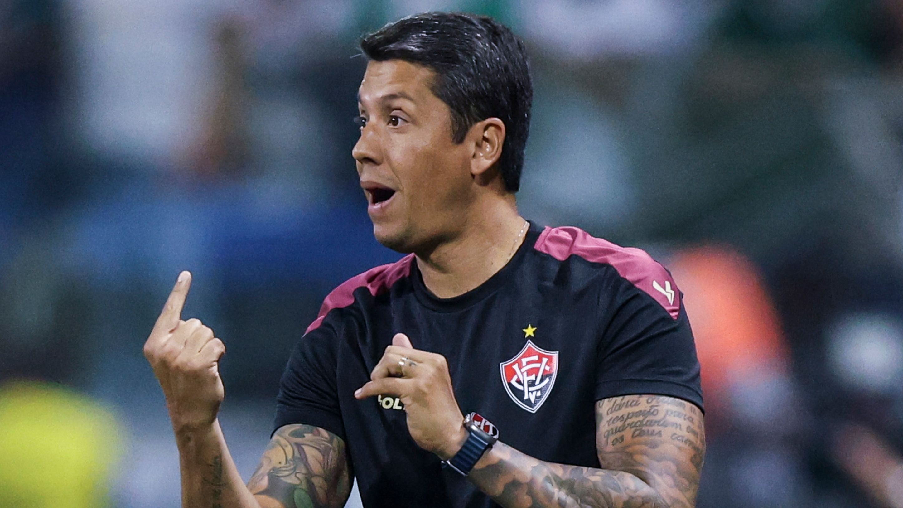 Palmeiras v Vitoria - Brasileirao 2024