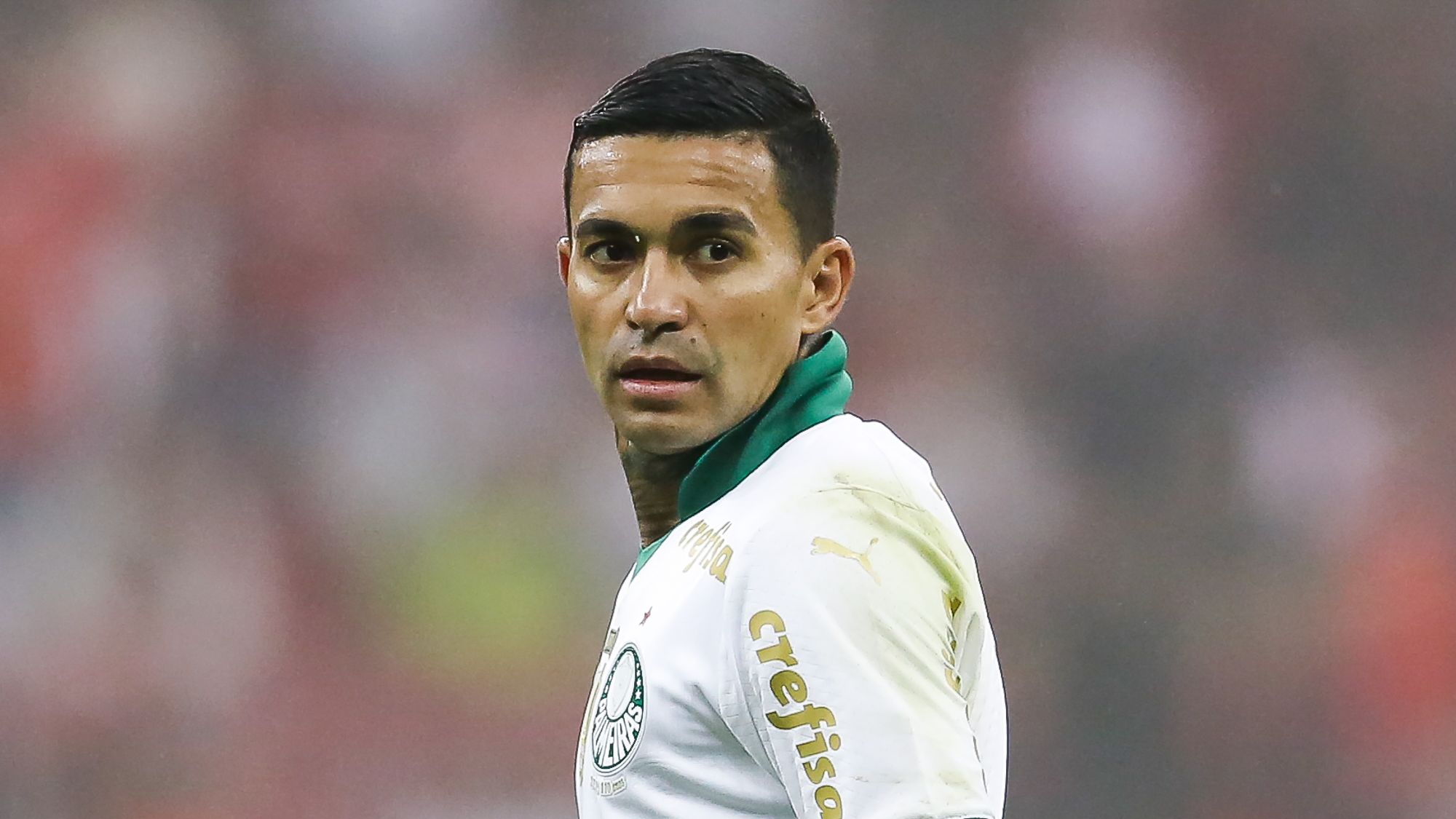 Internacional v Palmeiras - Brasileirao 2024