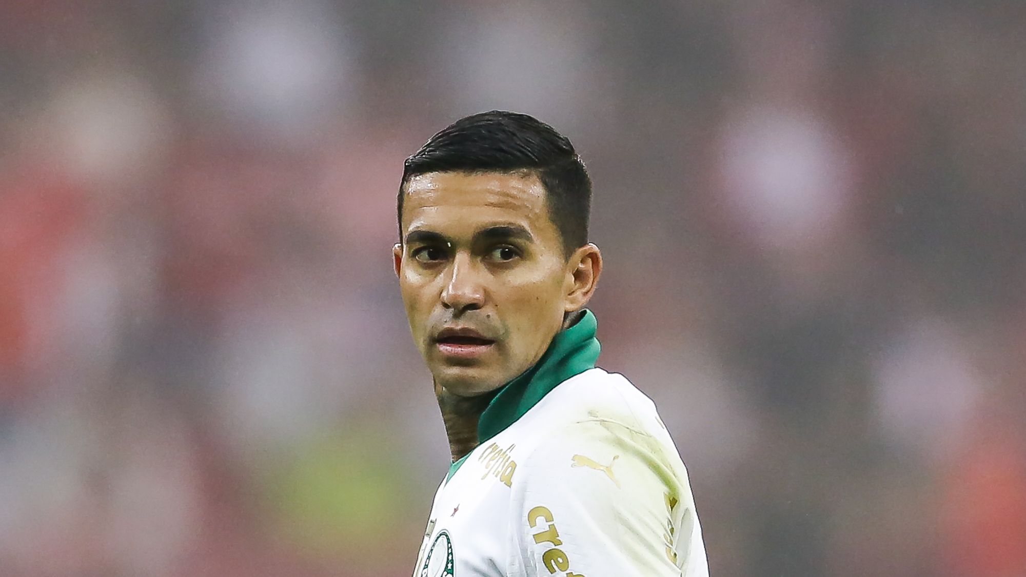 Internacional v Palmeiras - Brasileirao 2024