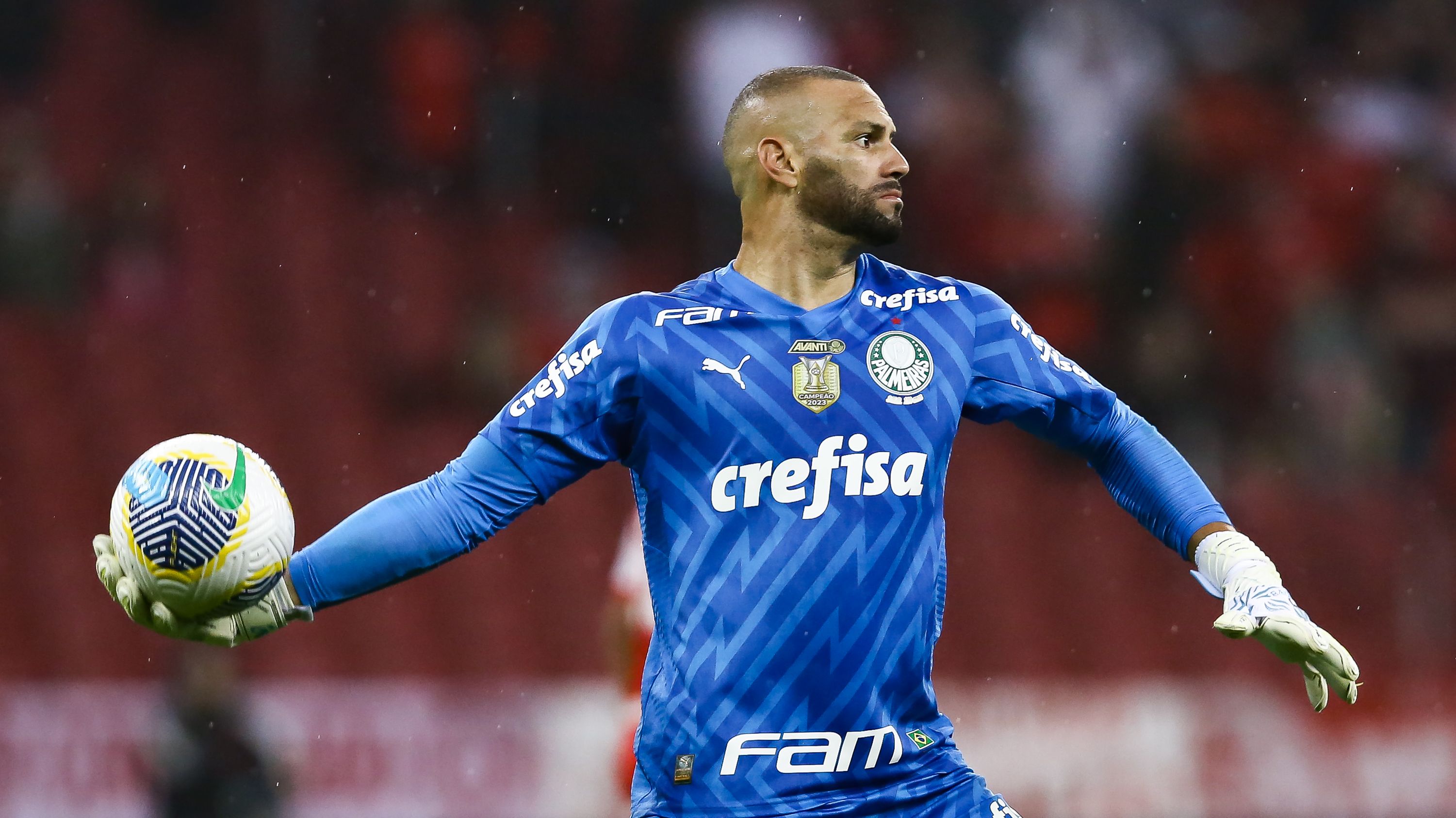 Internacional v Palmeiras - Brasileirao 2024