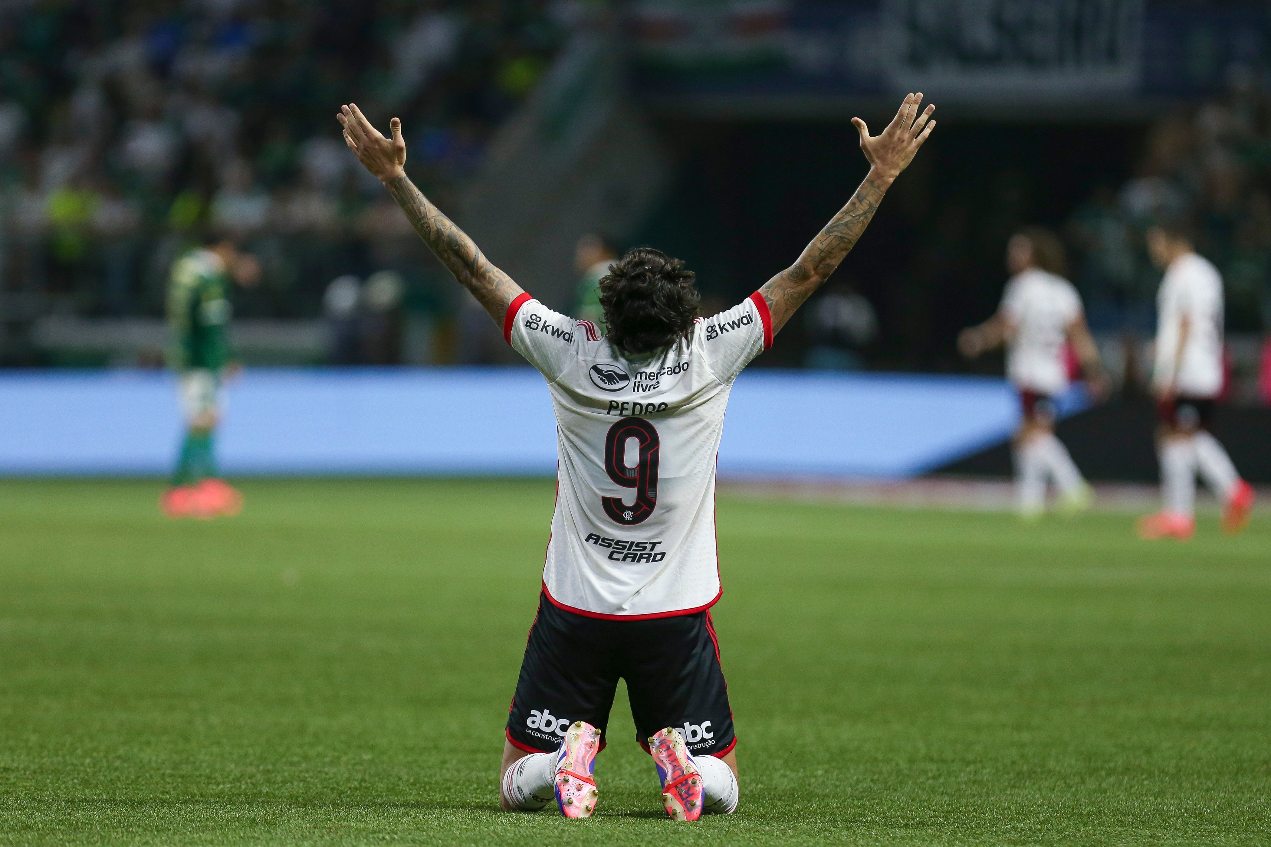 Palmeiras v Flamengo - Copa Do Brasil