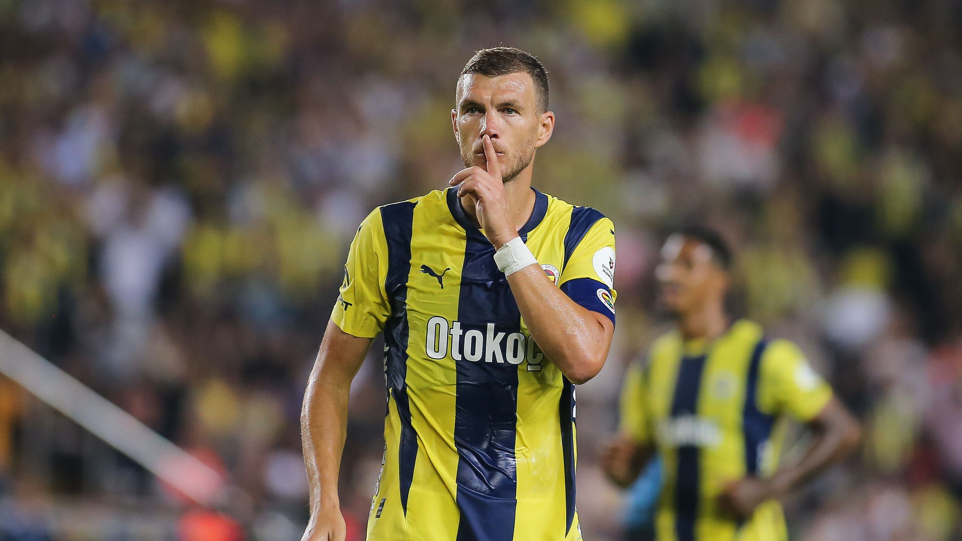 Fenerbahce v Adana Demirspor - Turkish Super League