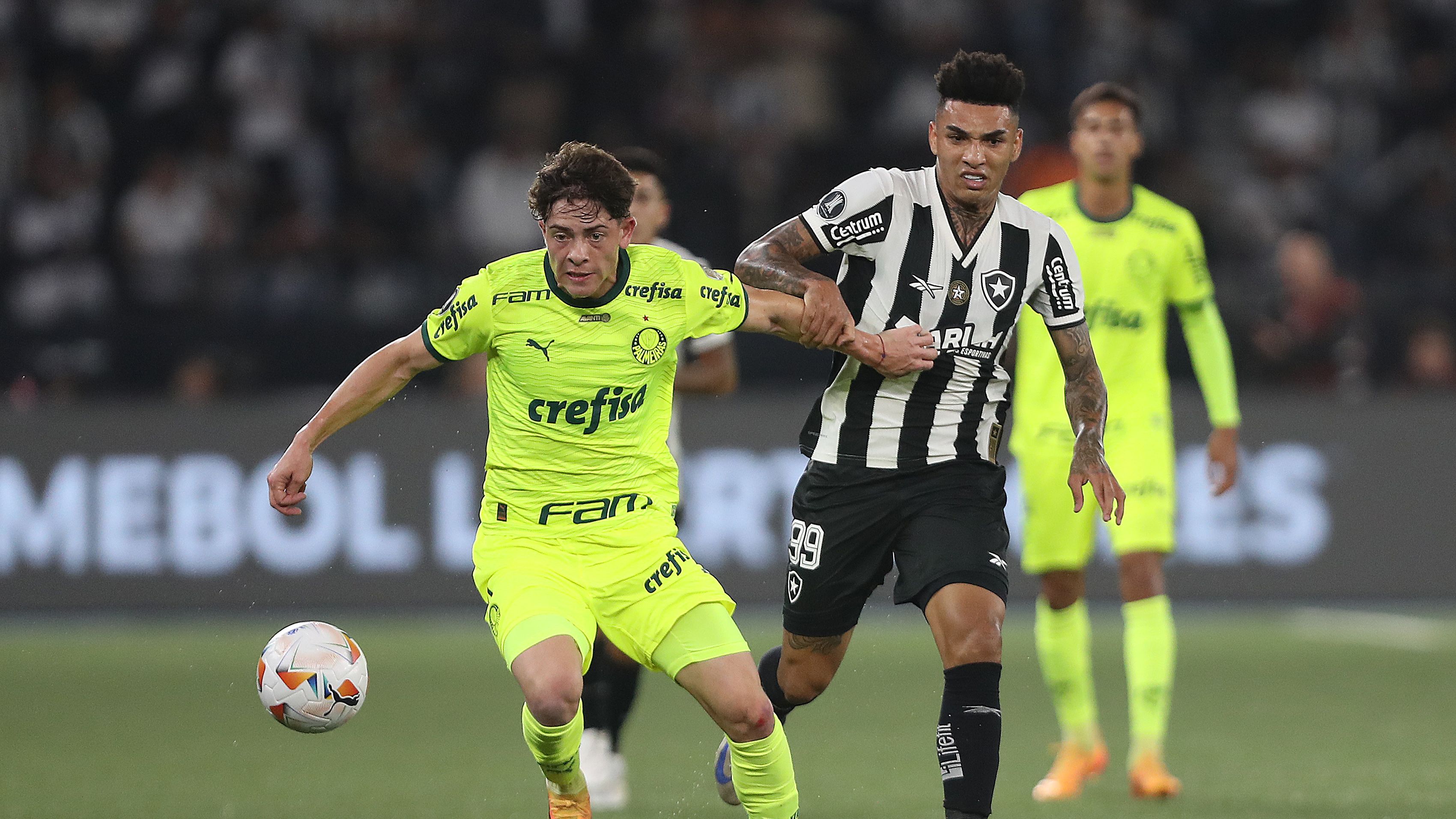 Botafogo v Palmeiras - Copa CONMEBOL Libertadores 2024