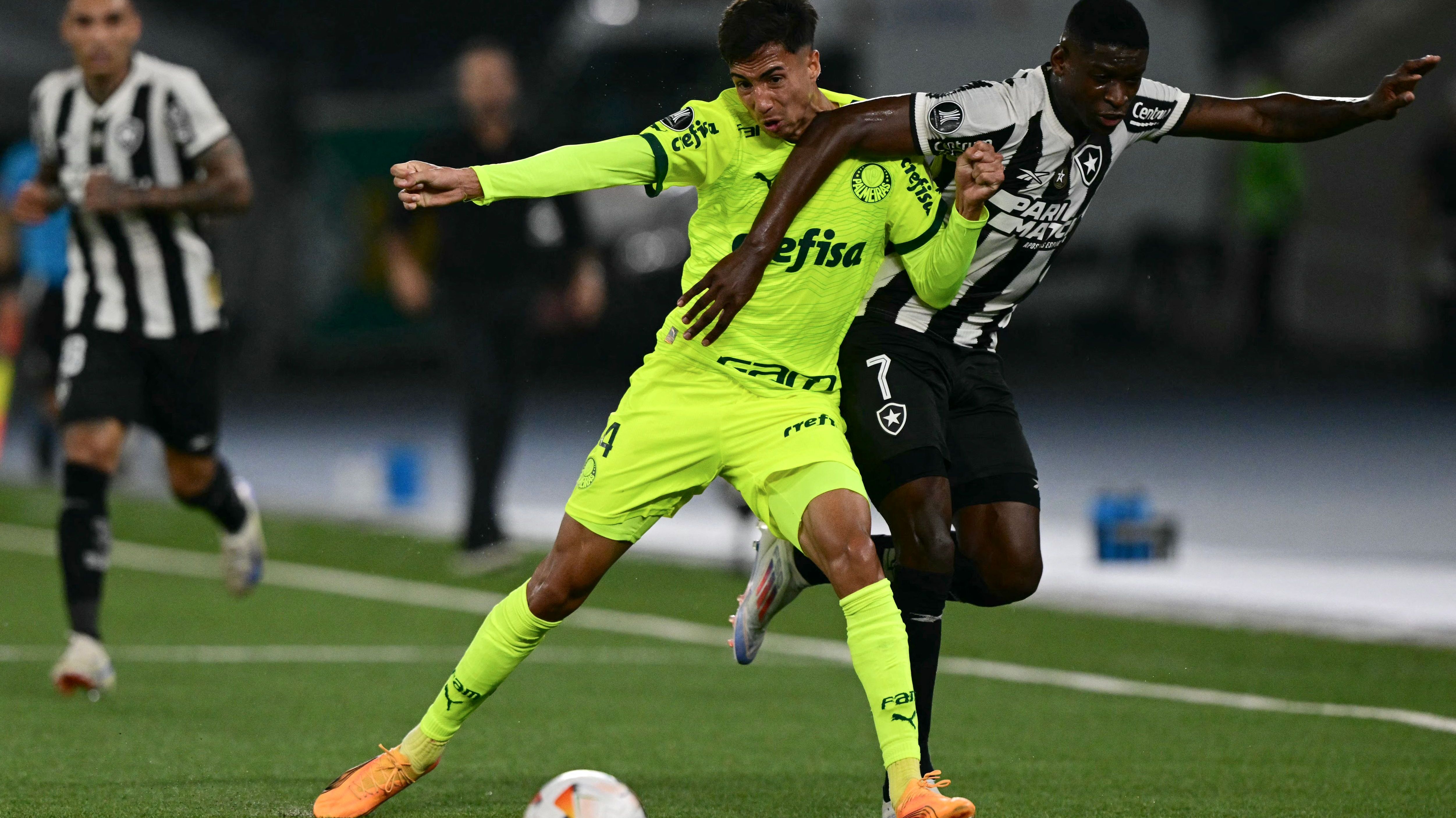 FBL-LIBERTADORES-BOTAFOGO-PALMEIRAS