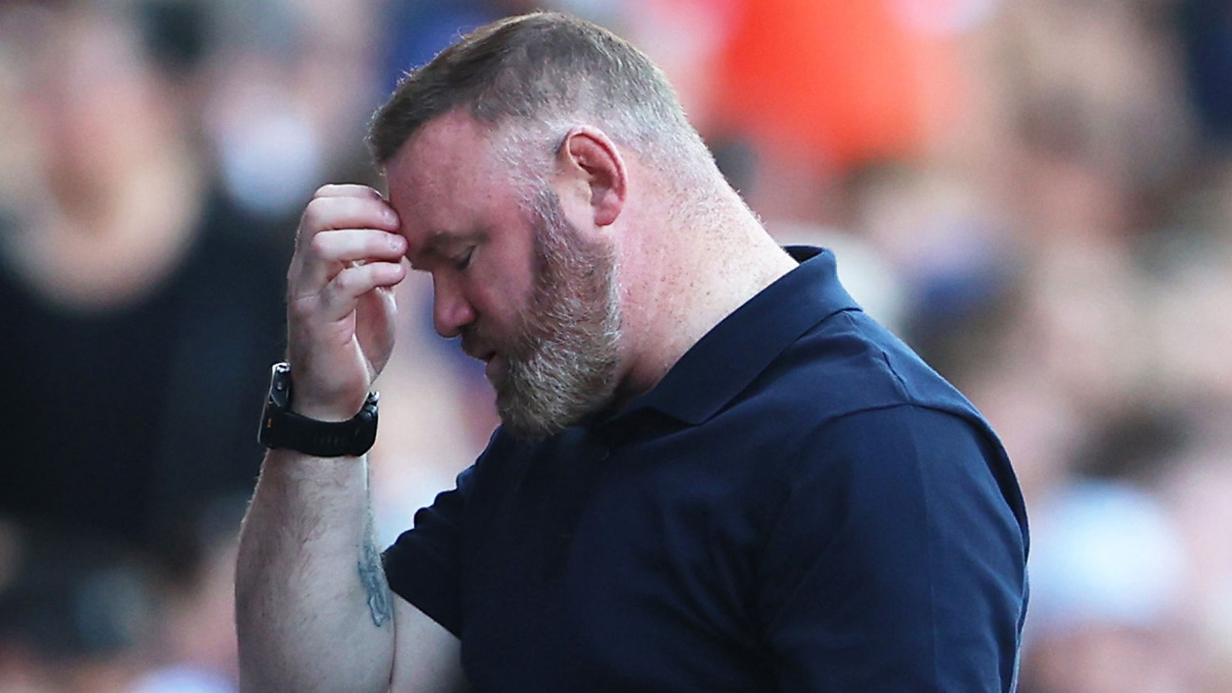 Sheffield Wednesday FC v Plymouth Argyle FC - Sky Bet Championship