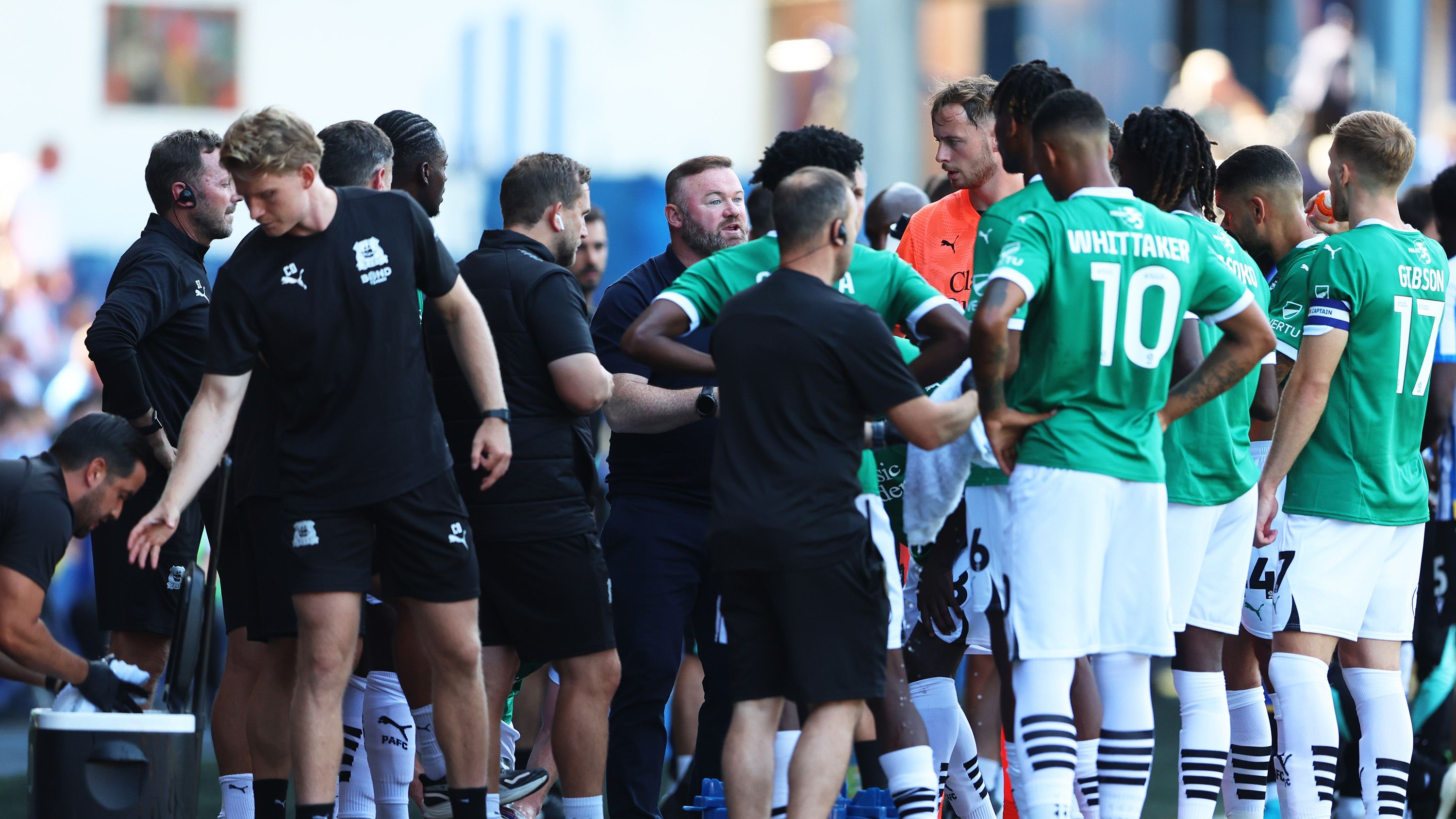 Sheffield Wednesday FC v Plymouth Argyle FC - Sky Bet Championship