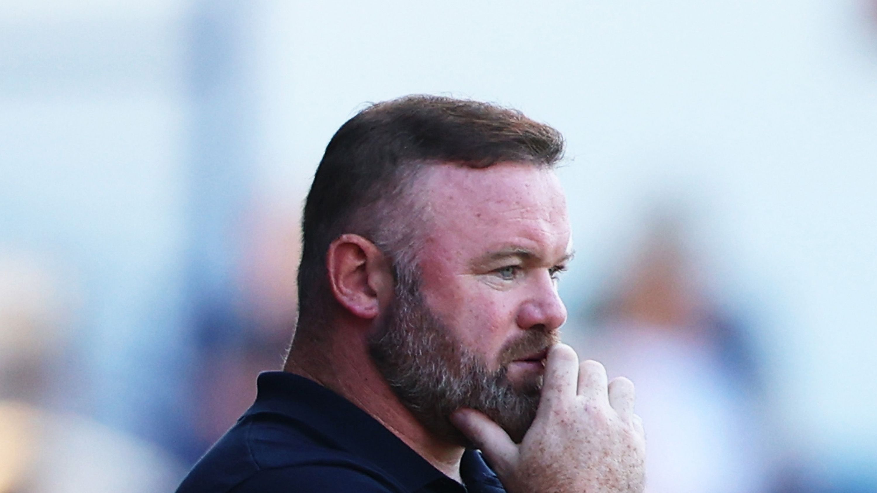 Sheffield Wednesday FC v Plymouth Argyle FC - Sky Bet Championship