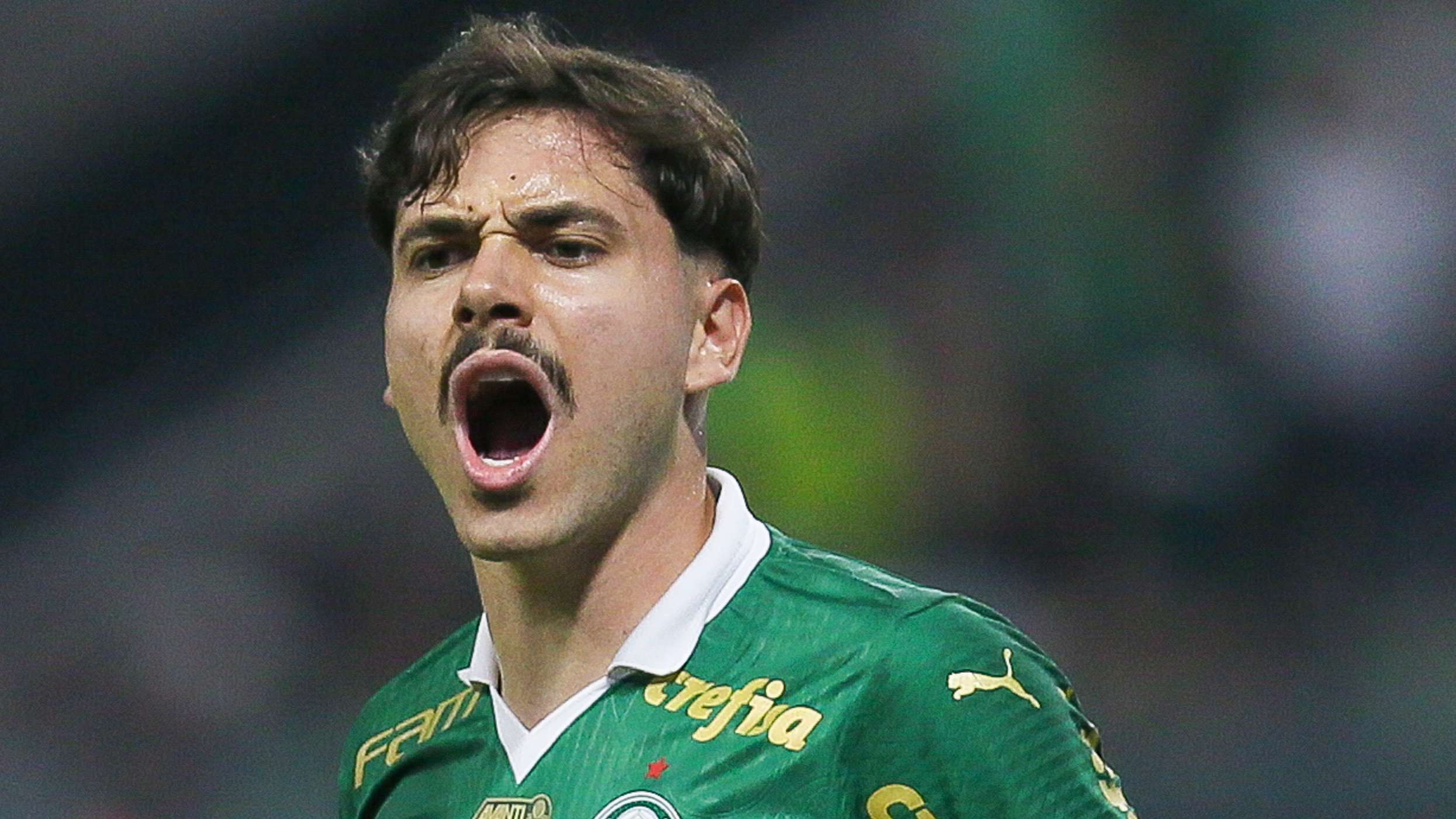 Palmeiras v Sao Paulo - Brasileirao 2024