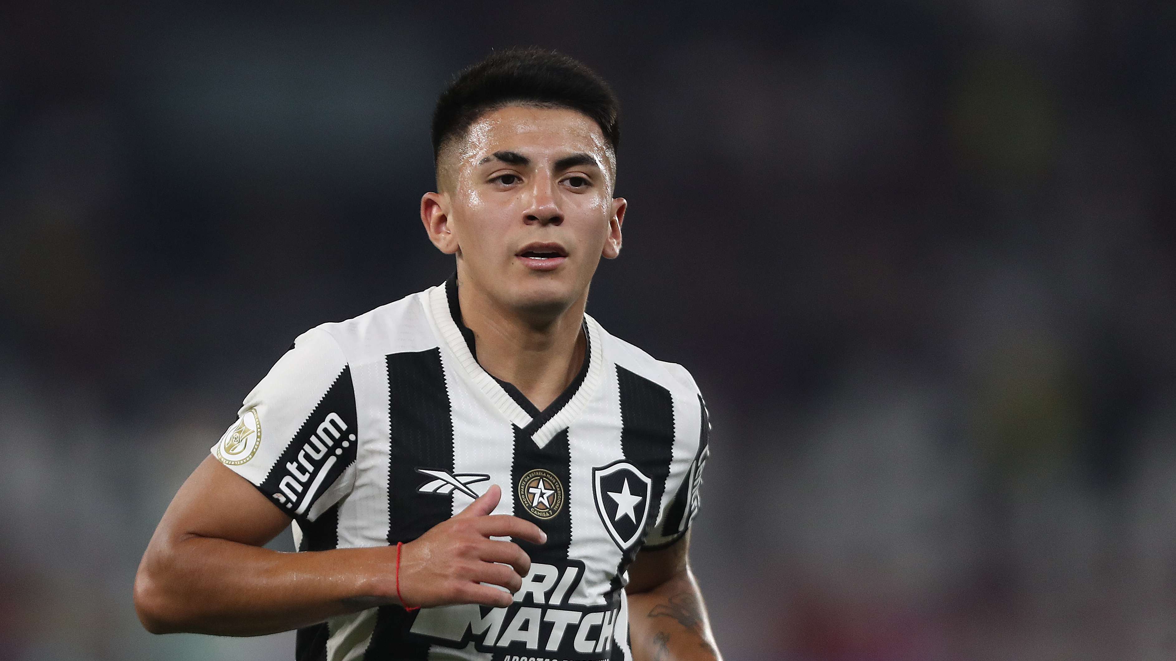 Botafogo v Flamengo - Brasileirao 2024