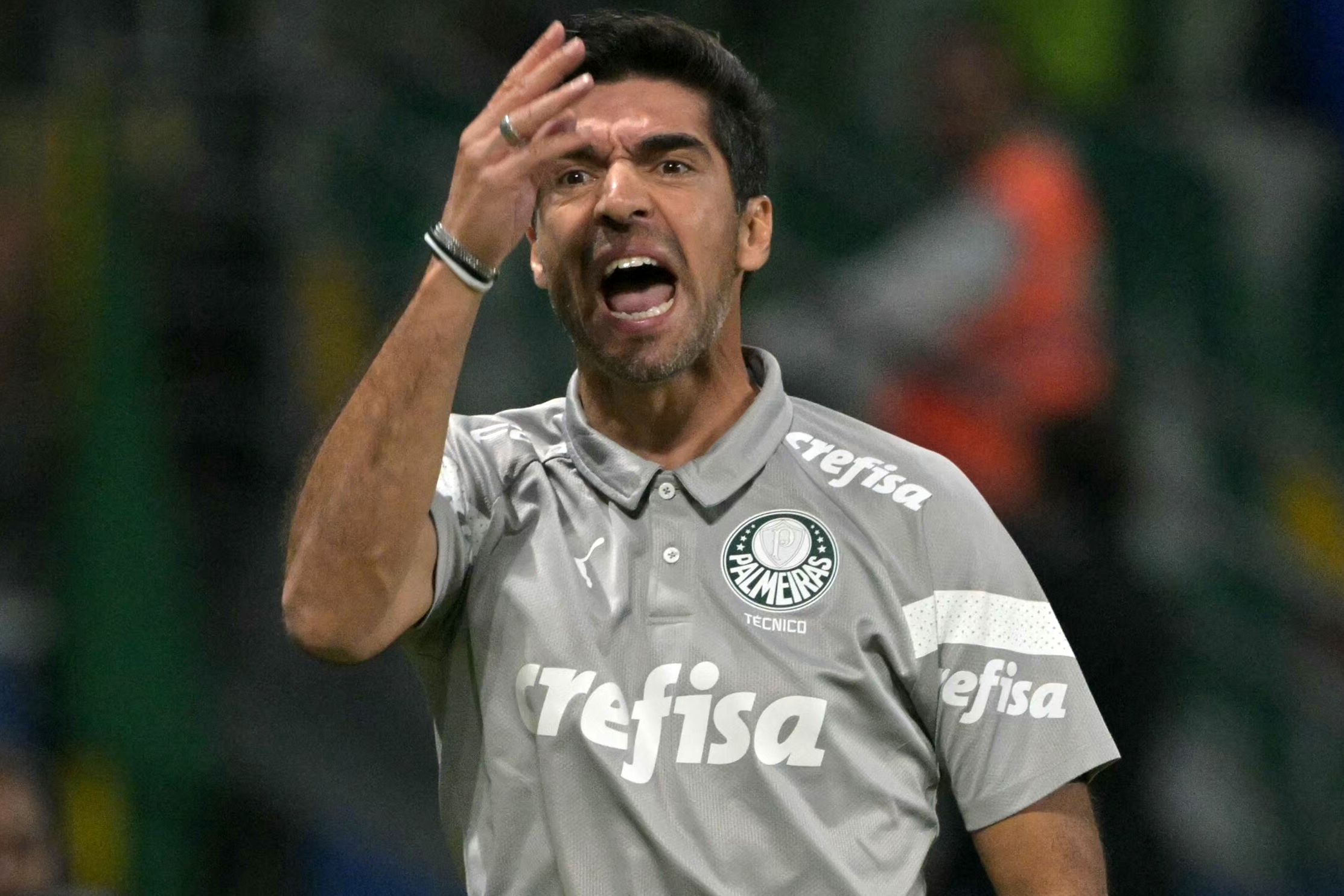 FBL-LIBERTADORES-PALMEIRAS-BOTAFOGO