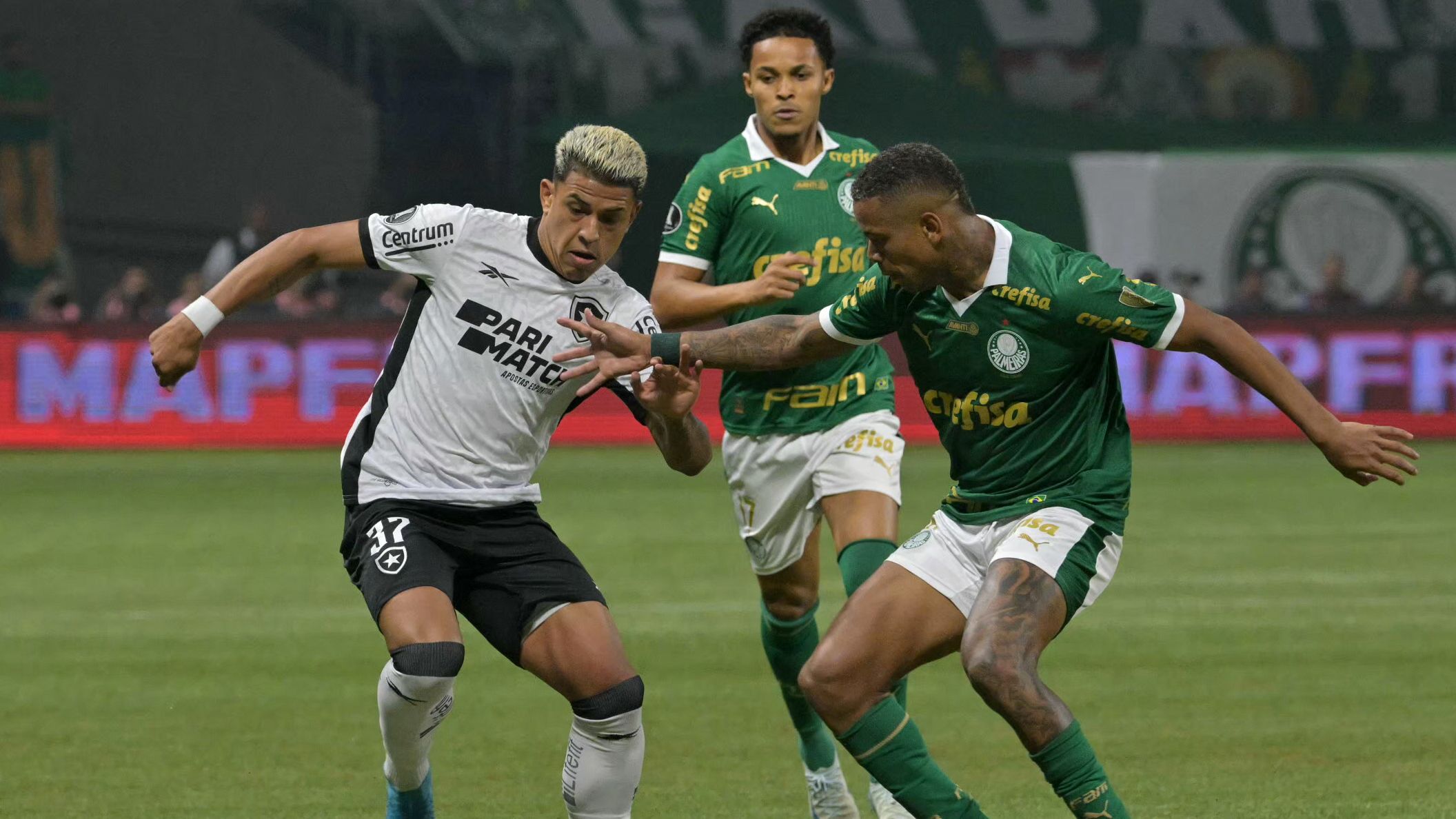 FBL-LIBERTADORES-PALMEIRAS-BOTAFOGO