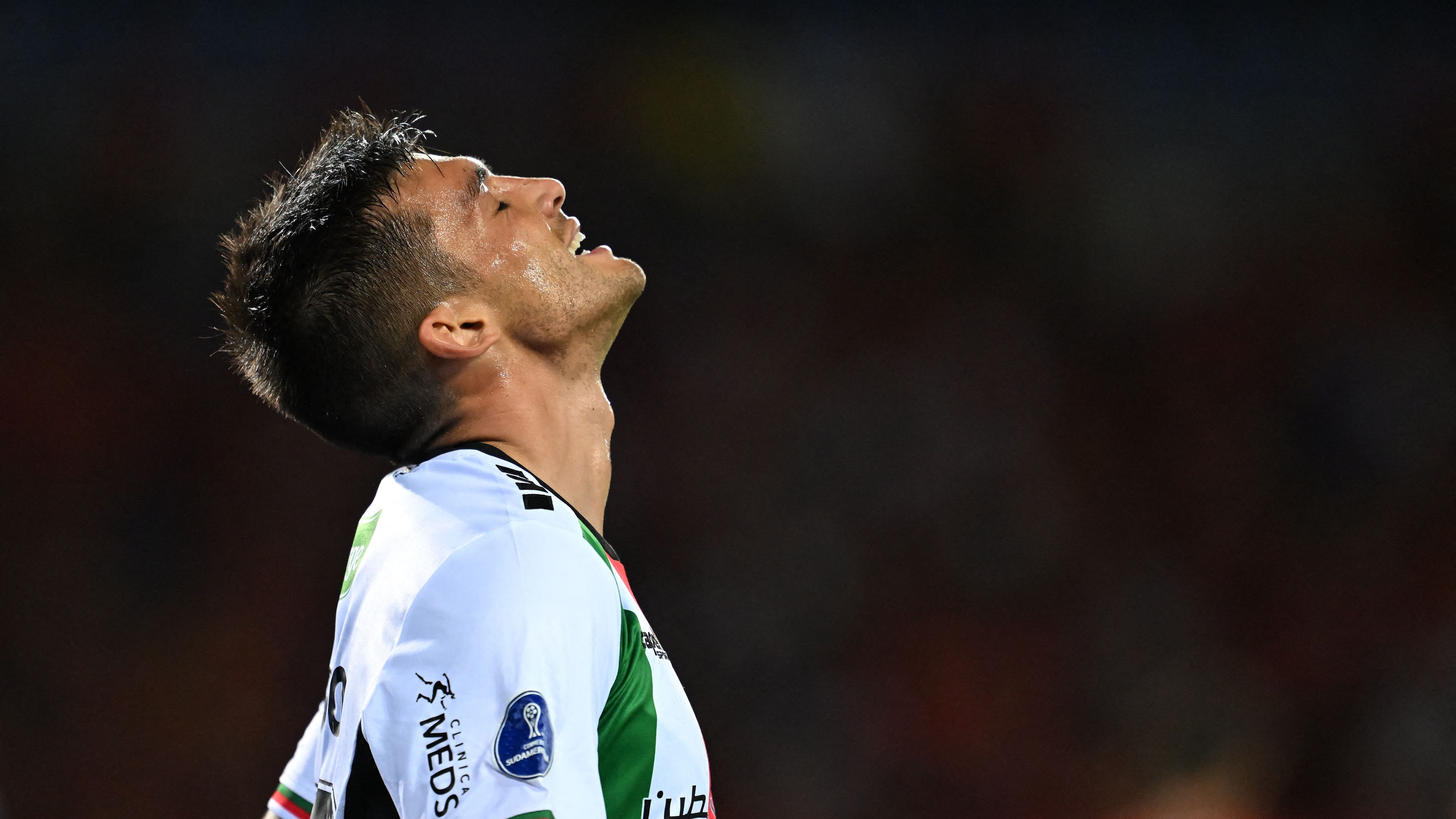 FBL-SUDAMERICANA-MEDELLIN-PALESTINO