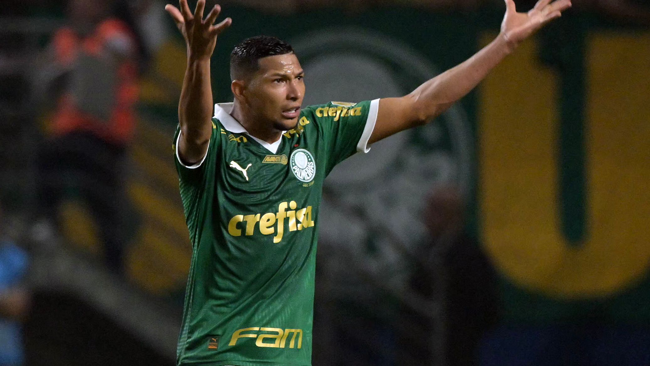 FBL-LIBERTADORES-PALMEIRAS-BOTAFOGO