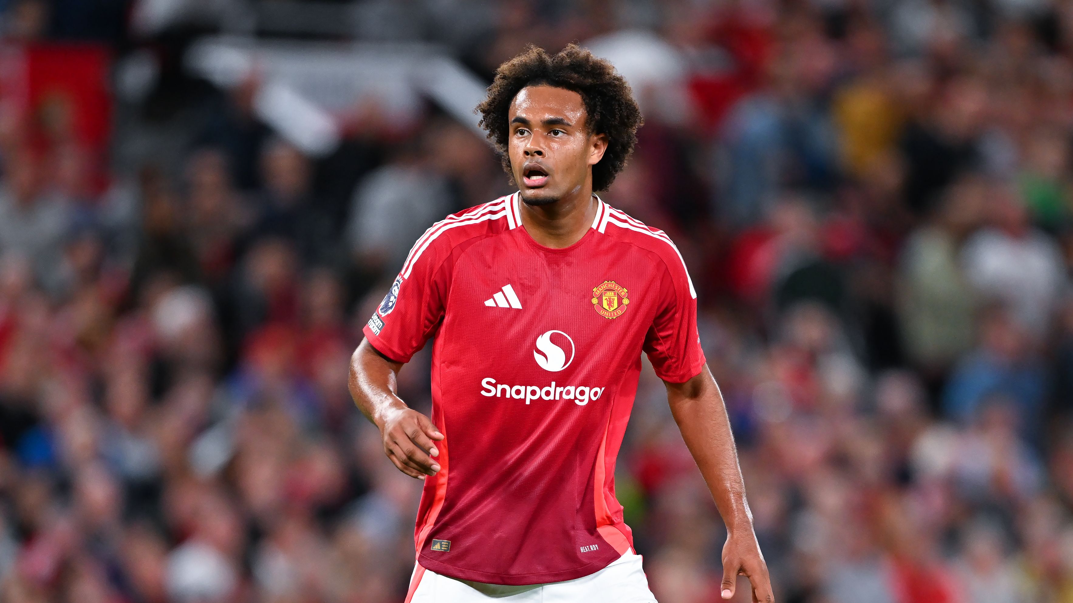 Manchester United FC v Fulham FC - Premier League