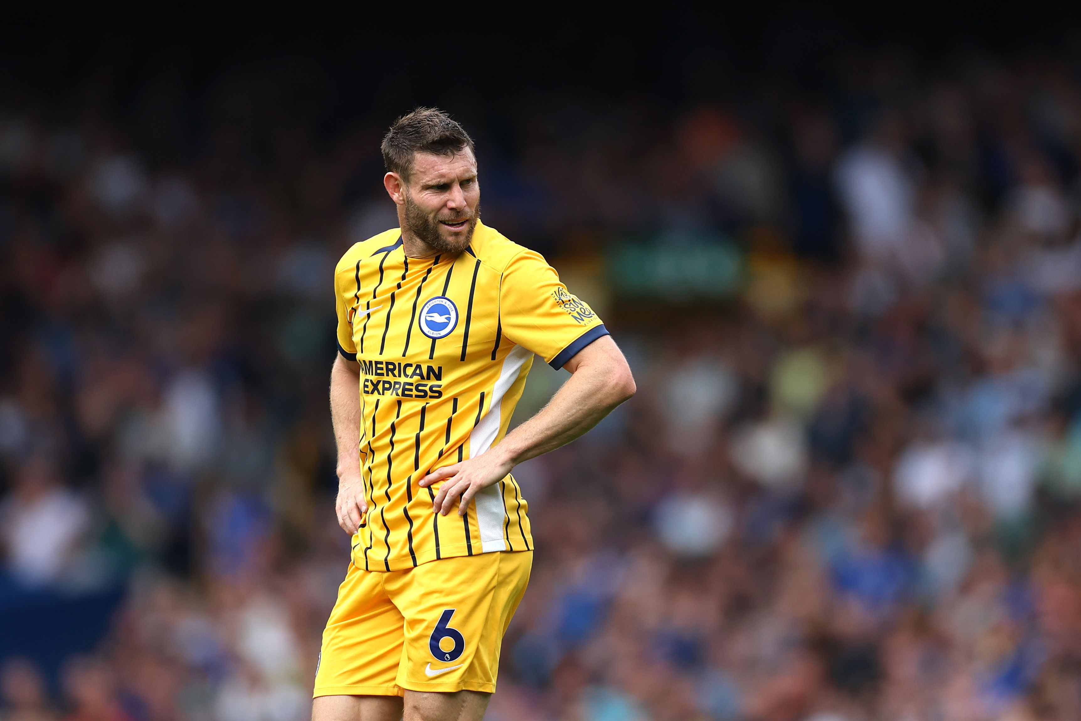 Everton FC v Brighton & Hove Albion FC - Premier League