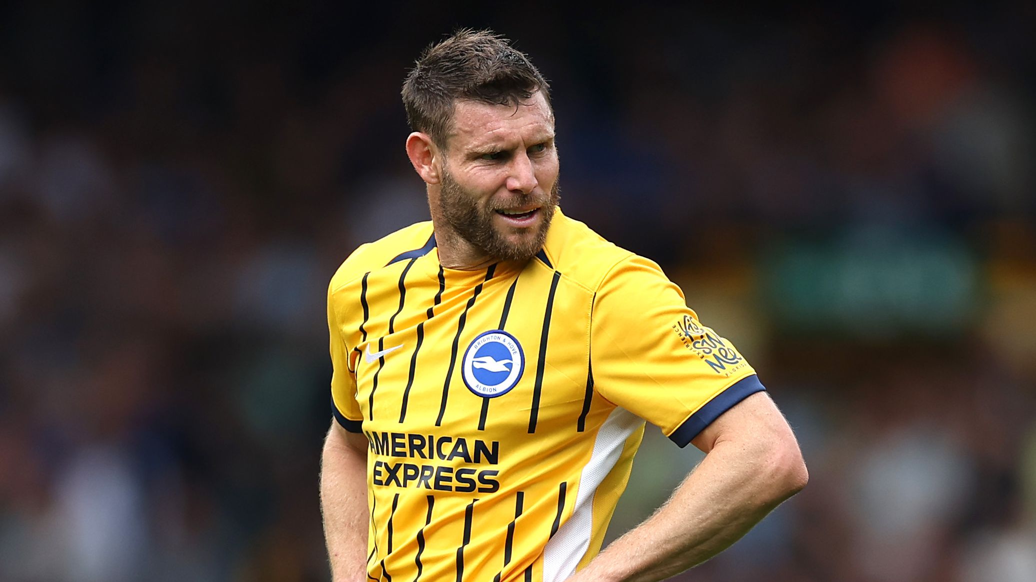 Everton FC v Brighton & Hove Albion FC - Premier League