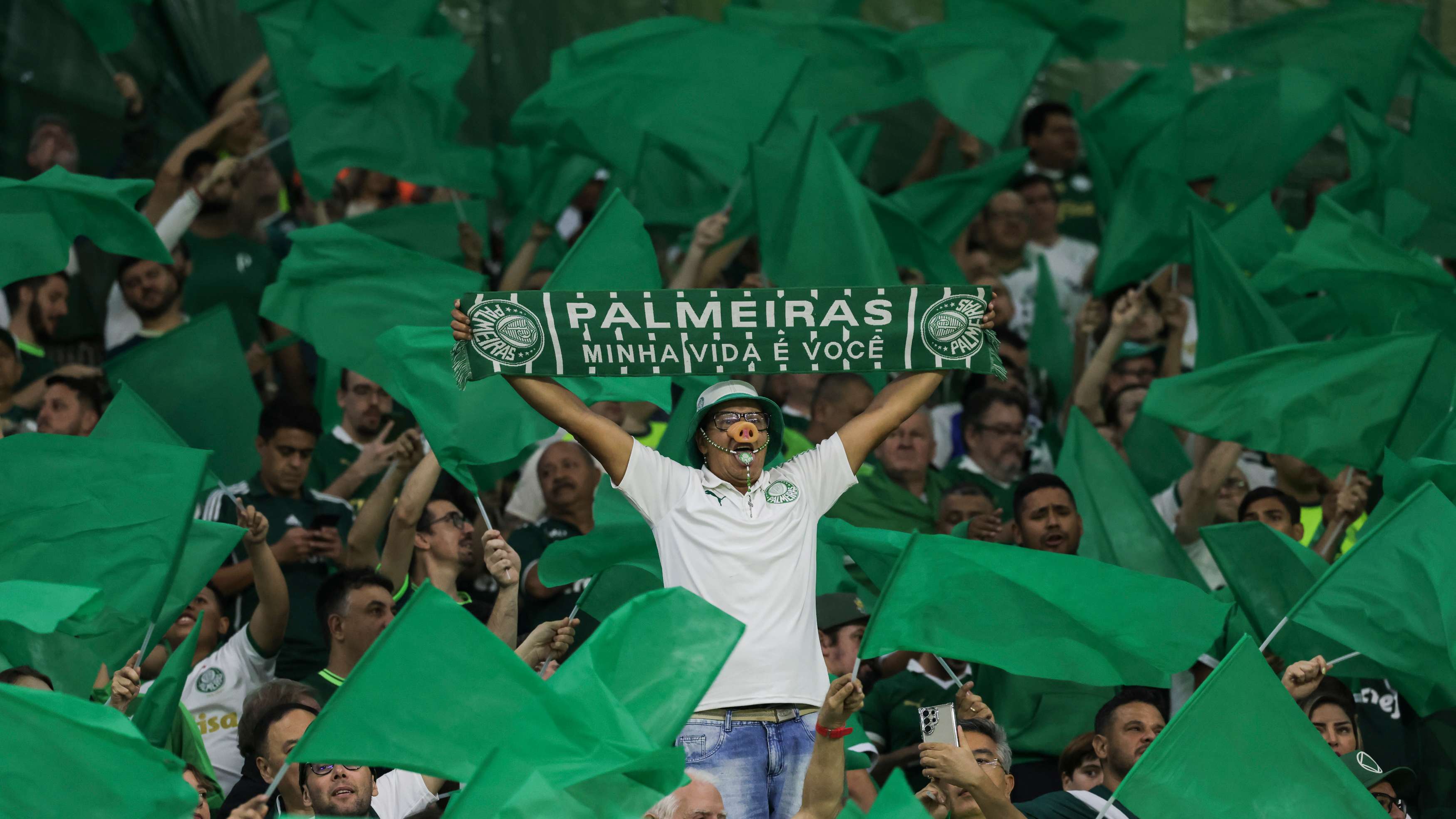 Palmeiras v Botafogo - Copa CONMEBOL Libertadores 2024