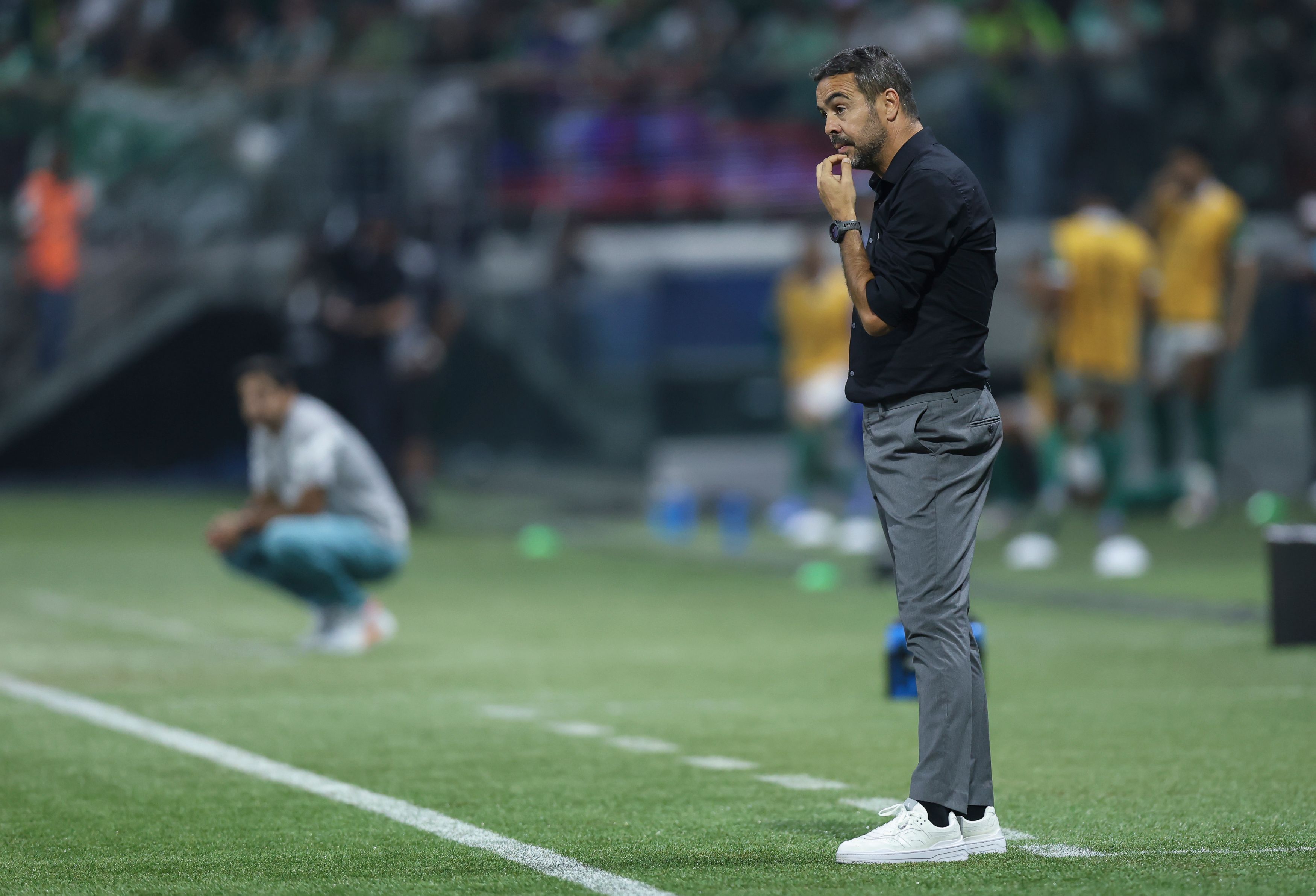 Palmeiras v Botafogo - Copa CONMEBOL Libertadores 2024