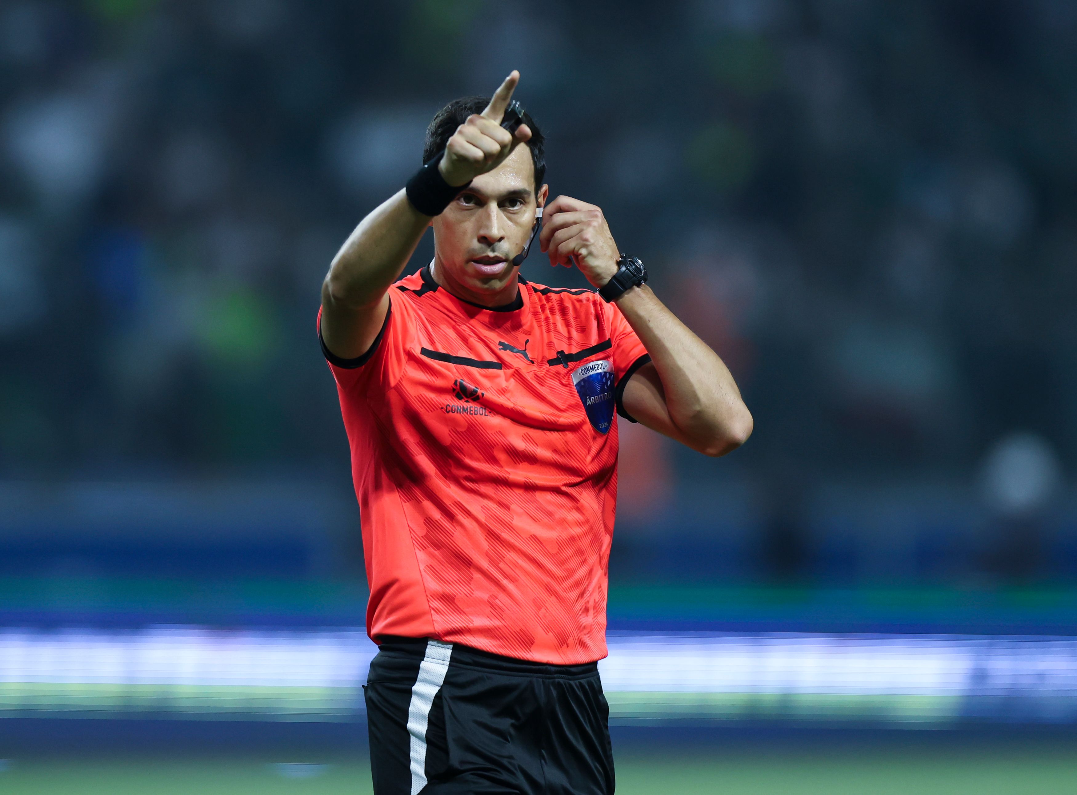 Palmeiras v Botafogo - Copa CONMEBOL Libertadores 2024