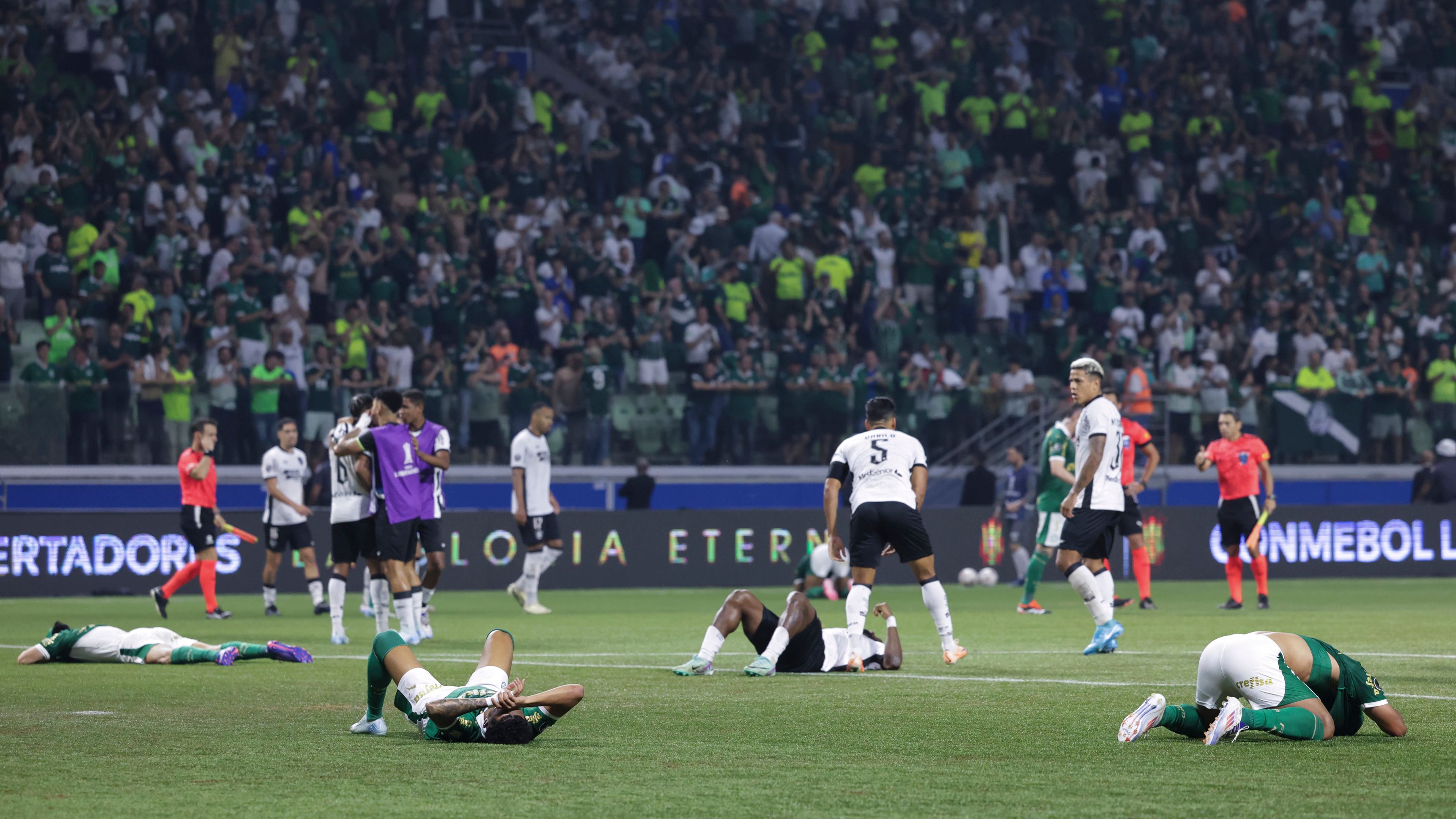 Palmeiras v Botafogo - Copa CONMEBOL Libertadores 2024