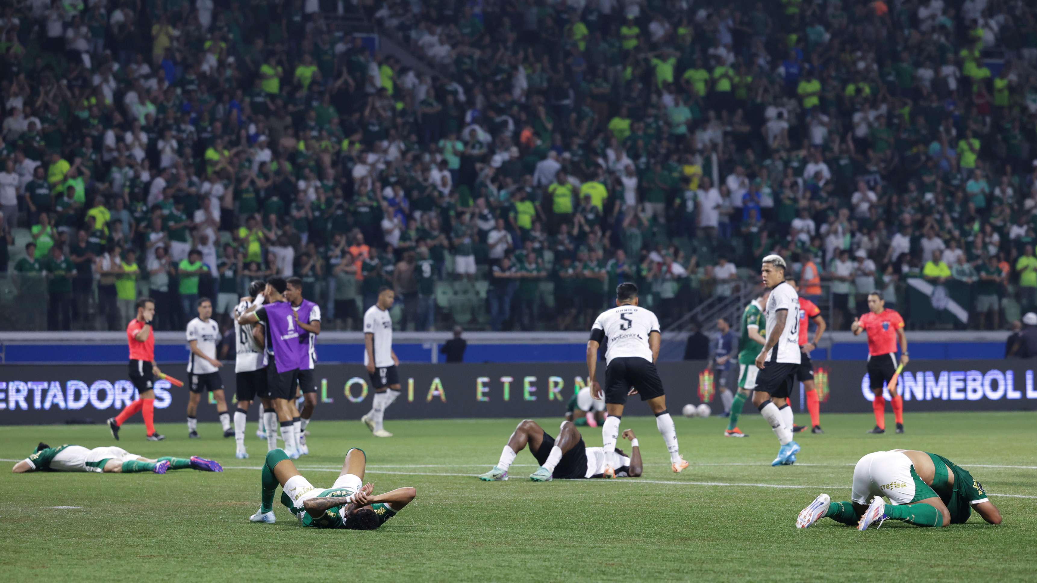 Palmeiras v Botafogo - Copa CONMEBOL Libertadores 2024