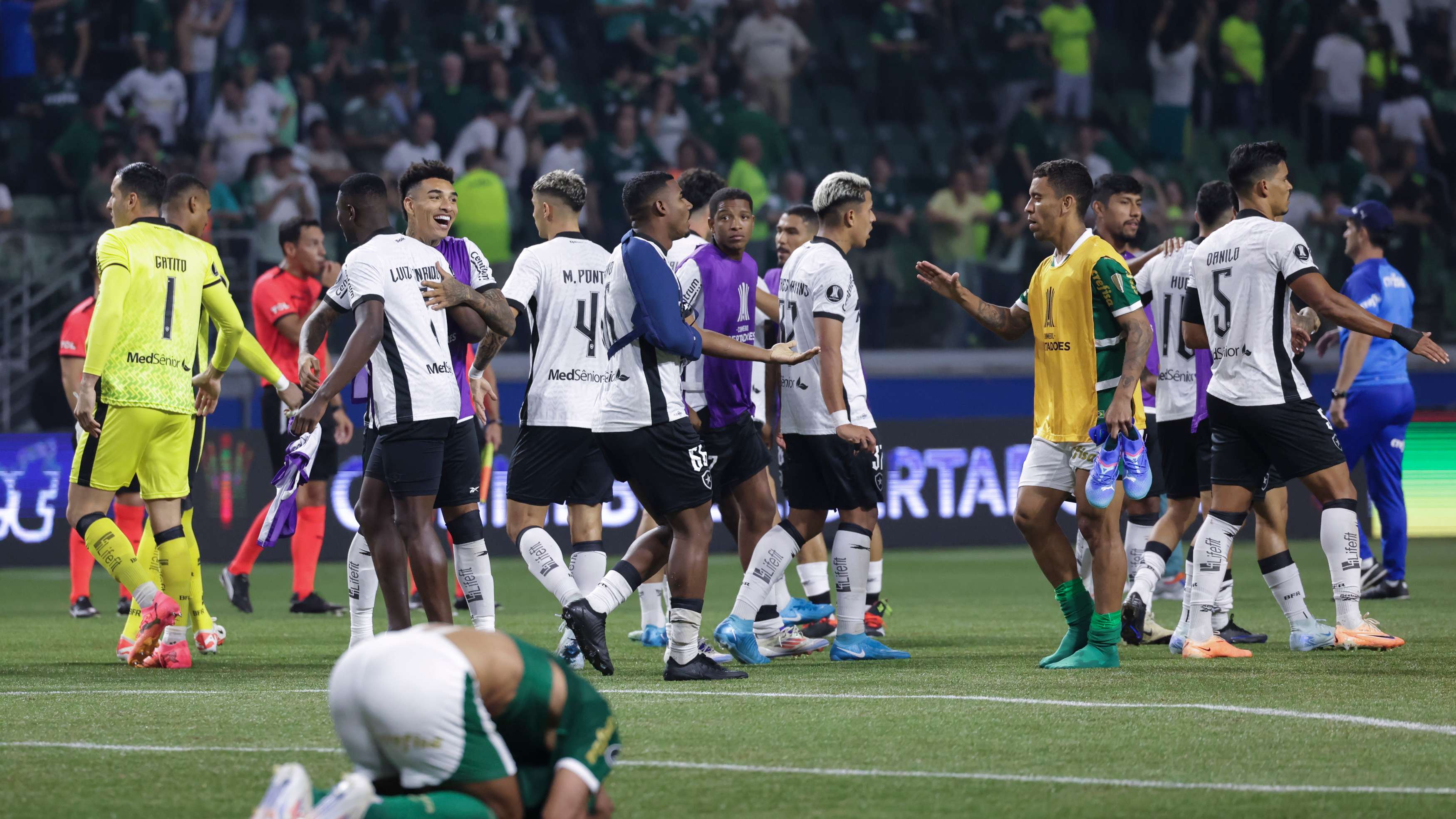 Palmeiras v Botafogo - Copa CONMEBOL Libertadores 2024