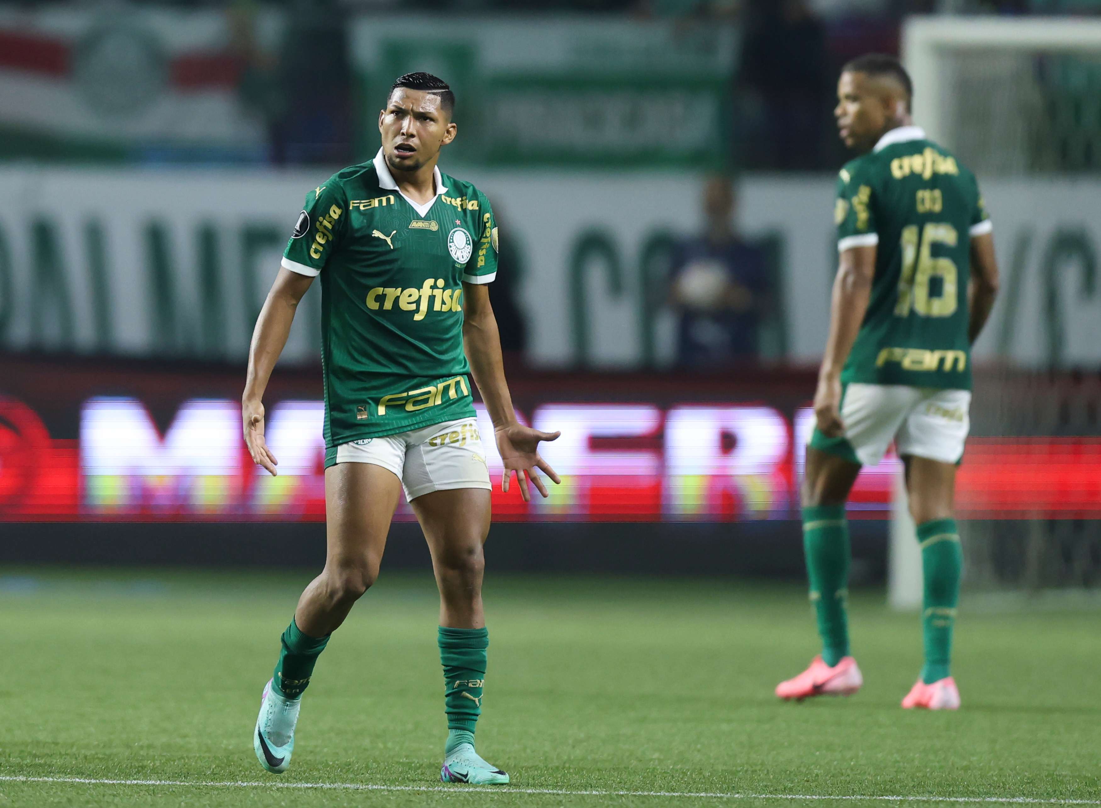 Palmeiras v Botafogo - Copa CONMEBOL Libertadores 2024