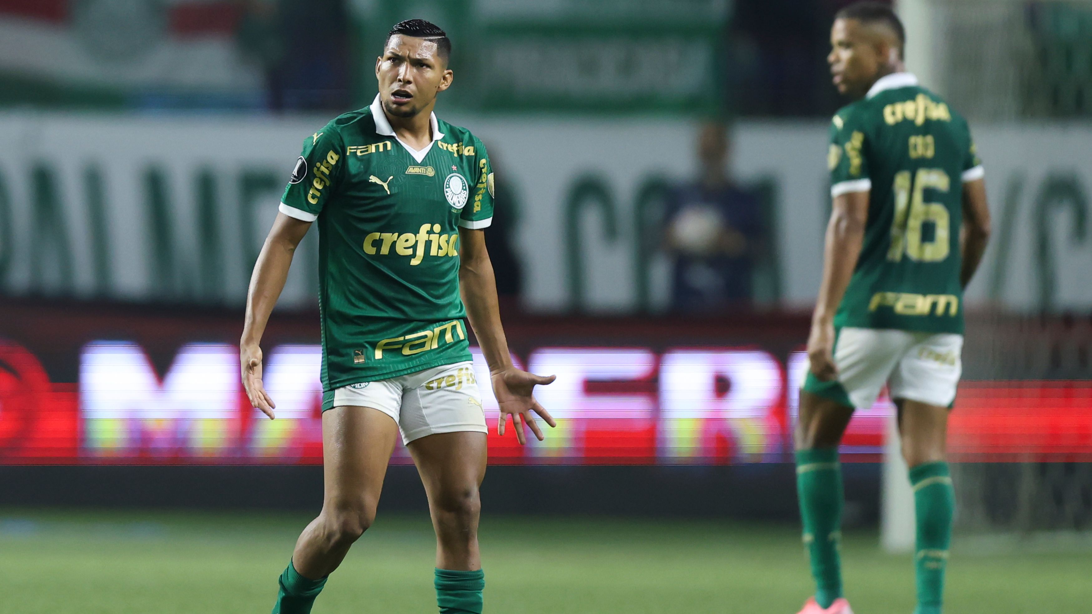 Palmeiras v Botafogo - Copa CONMEBOL Libertadores 2024