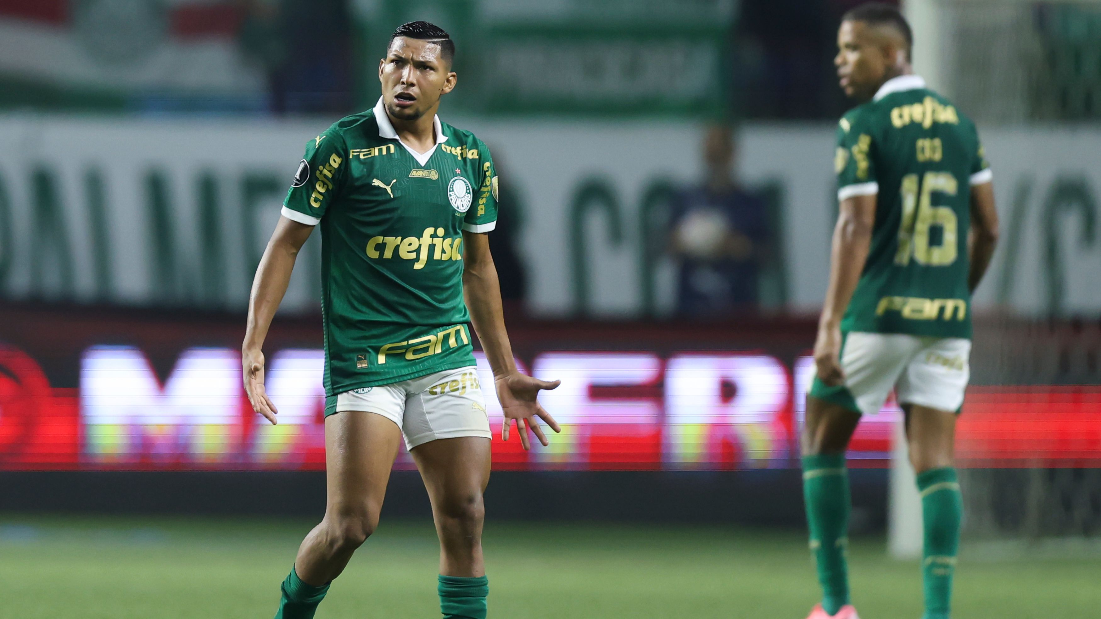 Palmeiras v Botafogo - Copa CONMEBOL Libertadores 2024