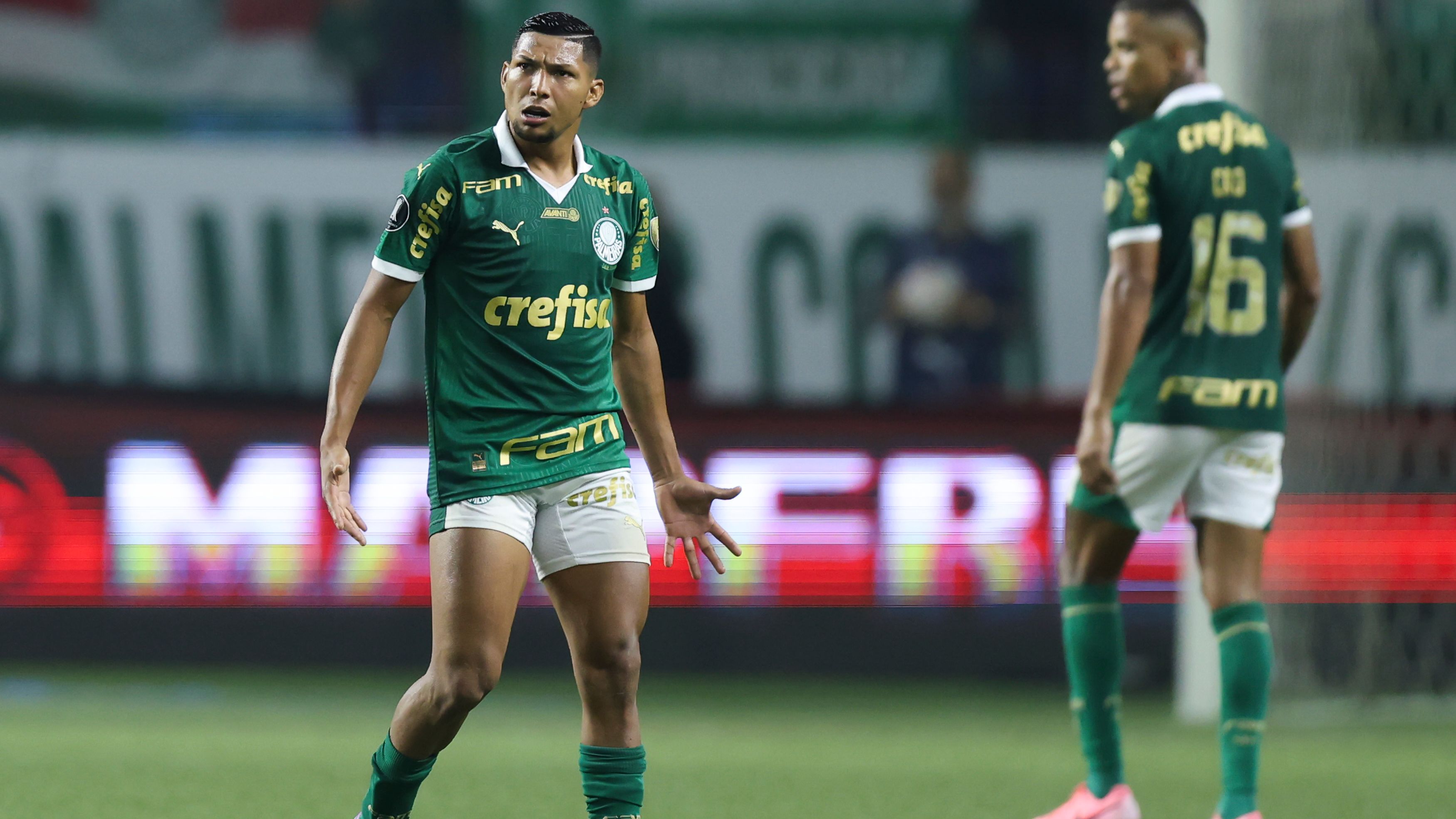 Palmeiras v Botafogo - Copa CONMEBOL Libertadores 2024