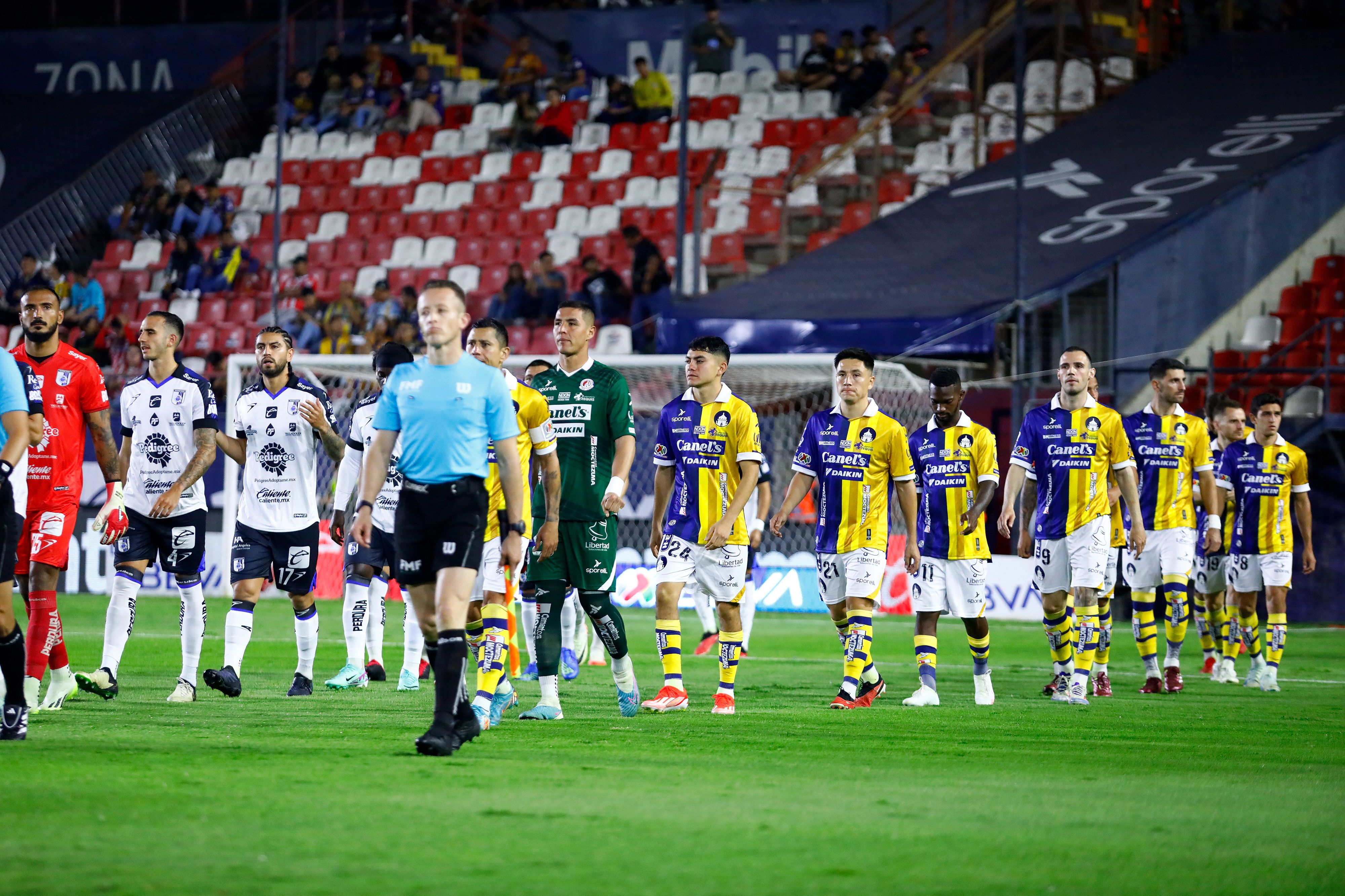 Atletico San Luis v Queretaro - Torneo Apertura 2024 Liga MX