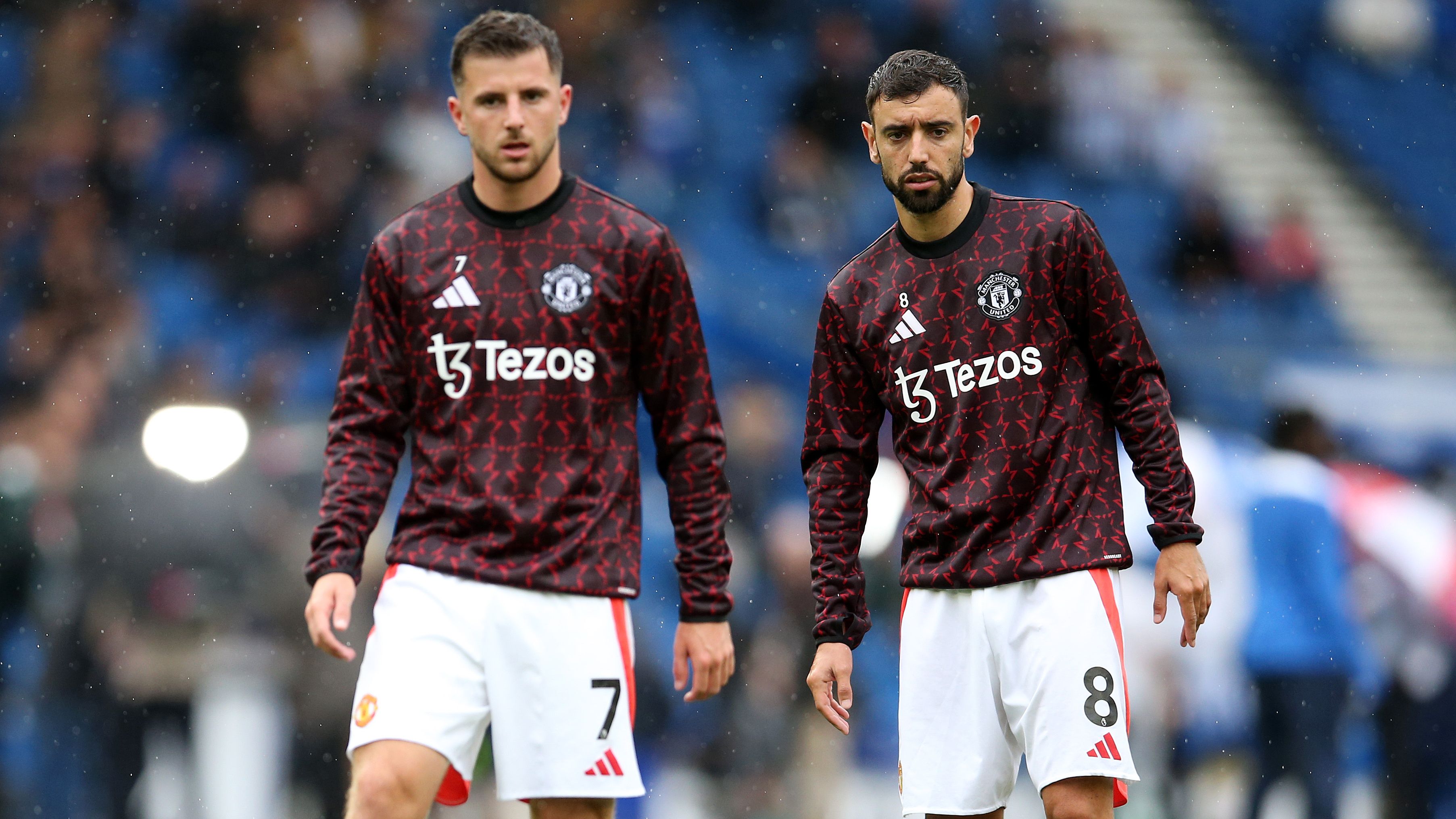 Brighton & Hove Albion FC v Manchester United FC - Premier League