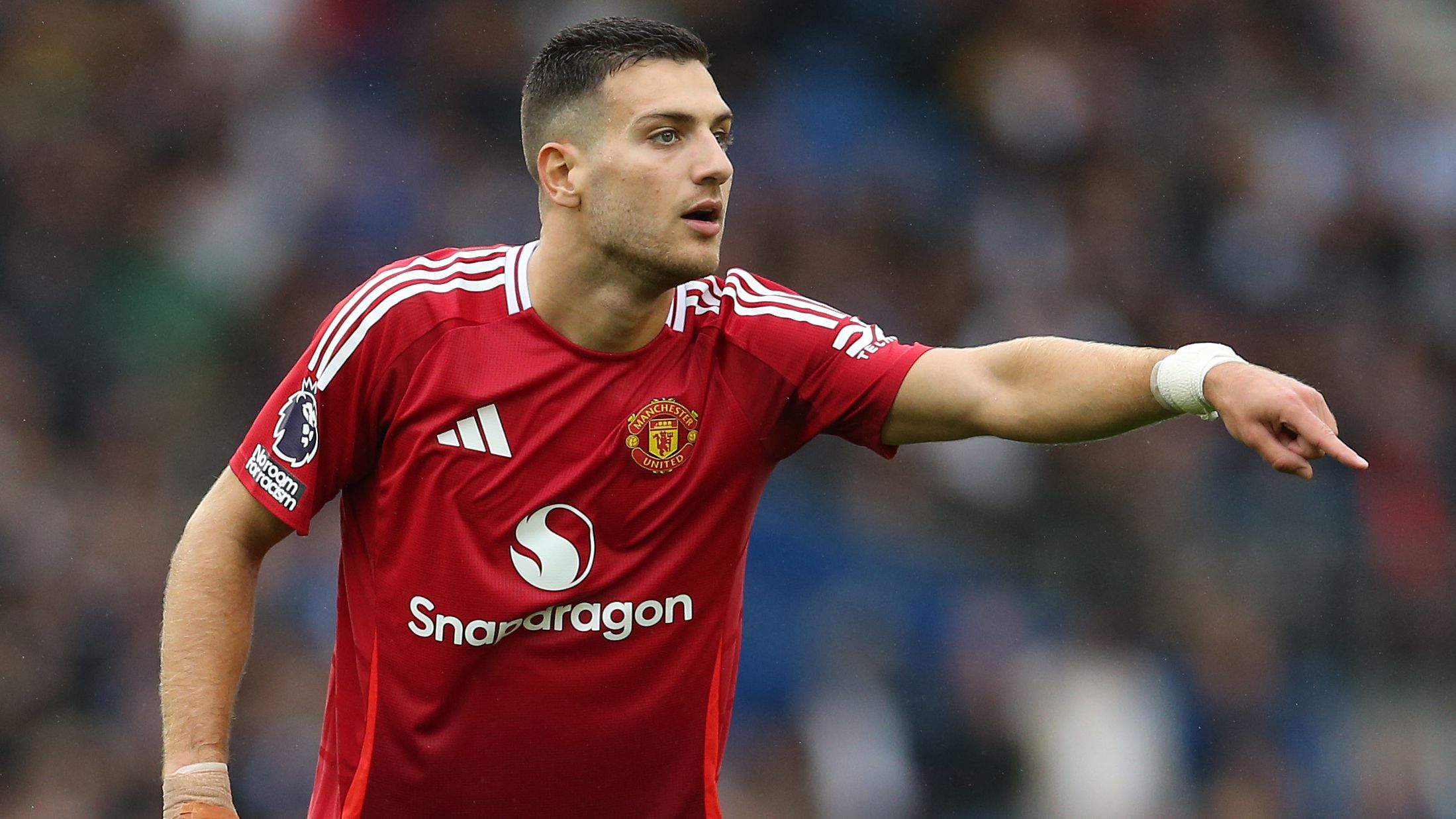 Brighton & Hove Albion FC v Manchester United FC - Premier League