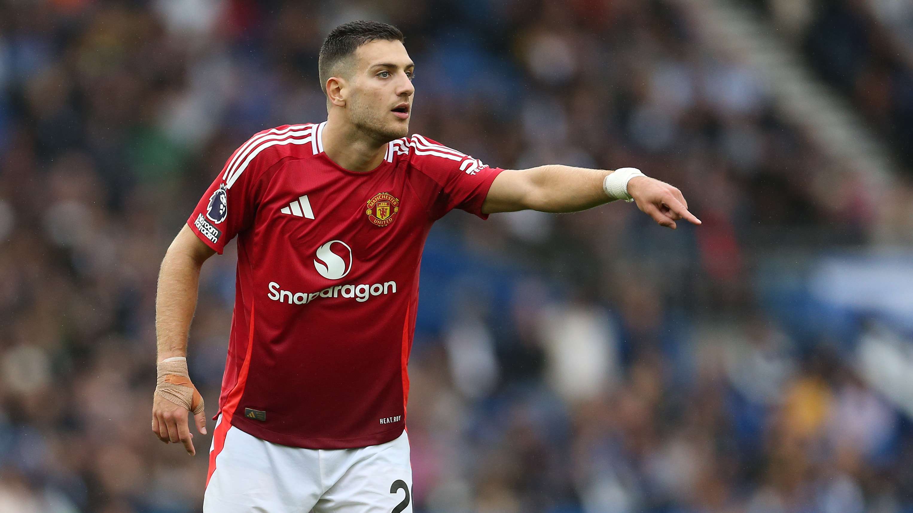 Brighton & Hove Albion FC v Manchester United FC - Premier League