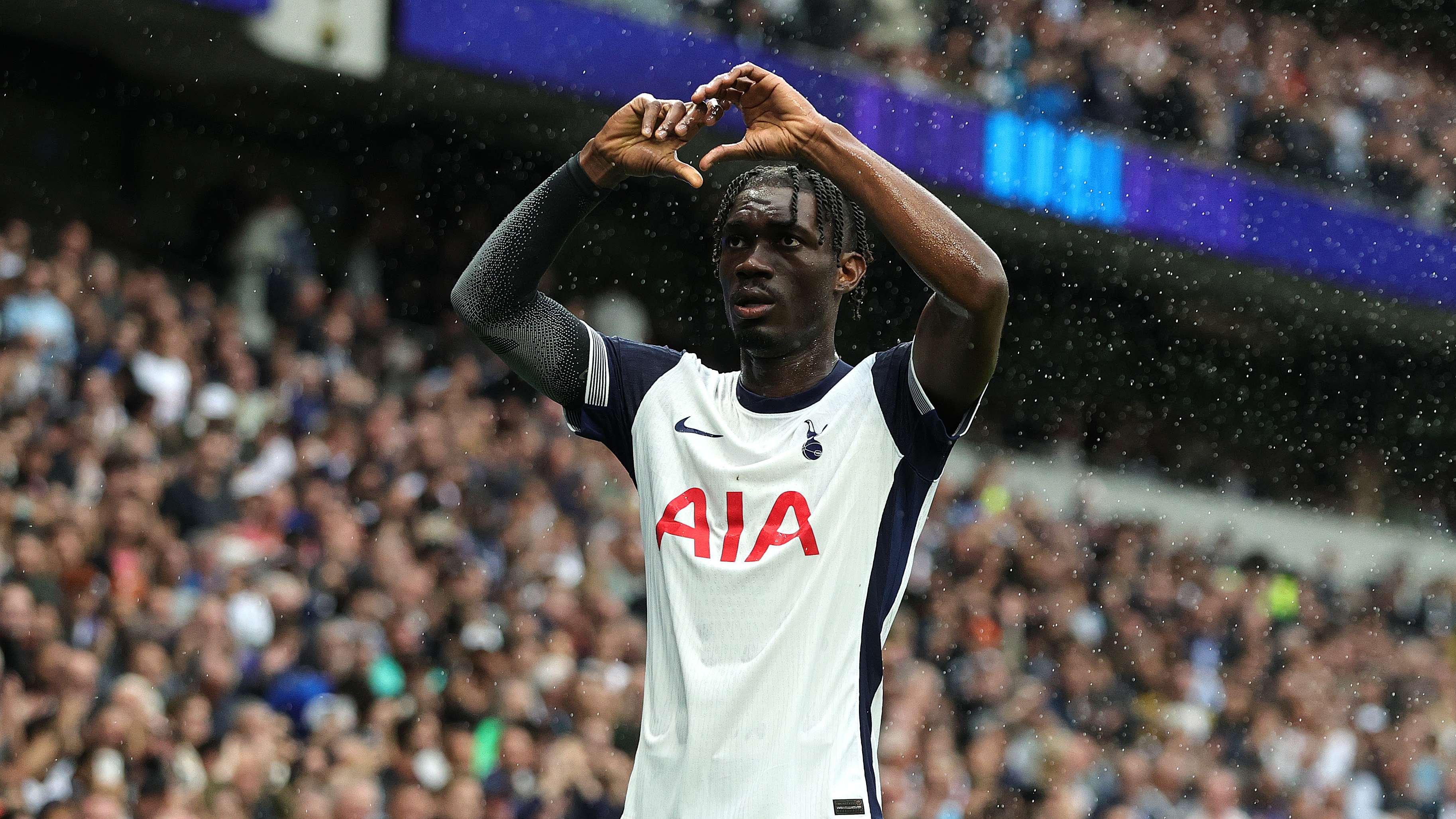 Tottenham Hotspur FC v Everton FC - Premier League