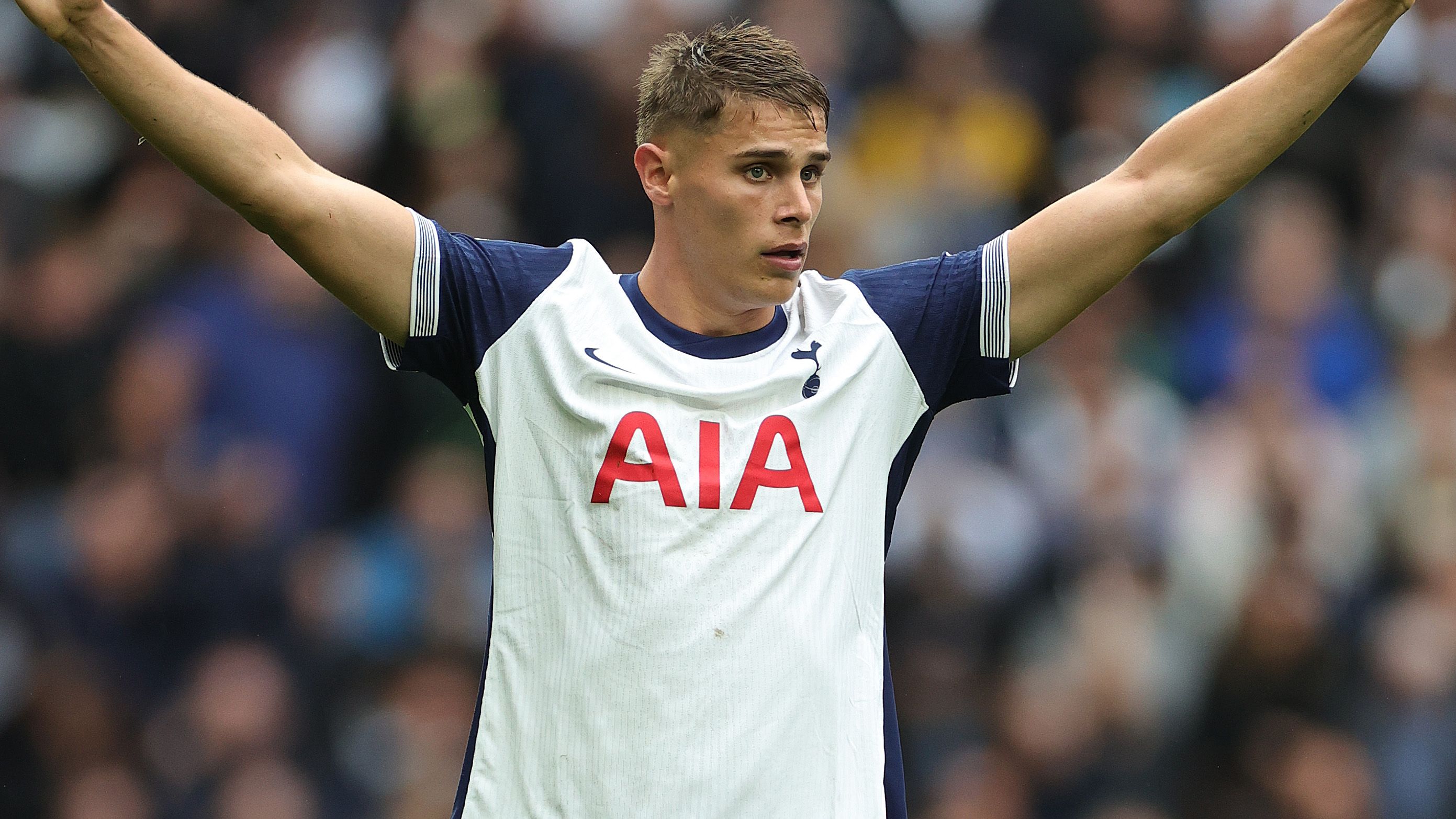 Tottenham Hotspur FC v Everton FC - Premier League