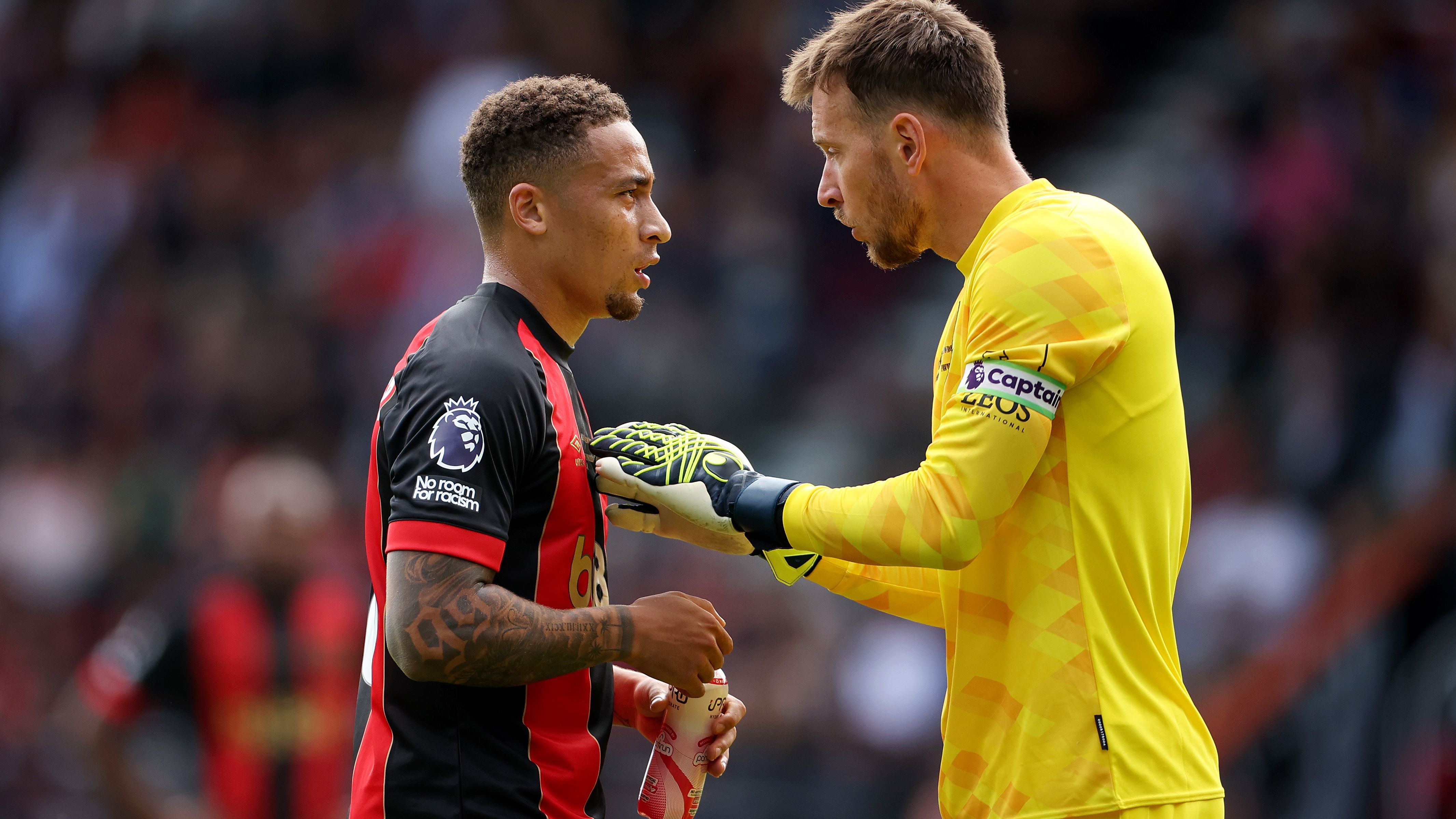 AFC Bournemouth v Newcastle United FC - Premier League