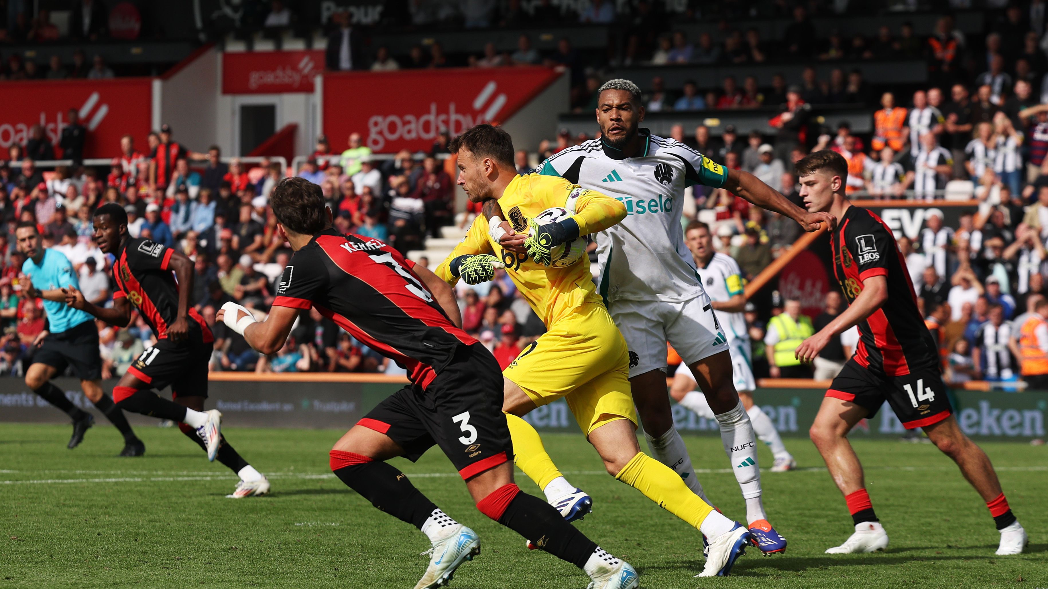 AFC Bournemouth v Newcastle United FC - Premier League