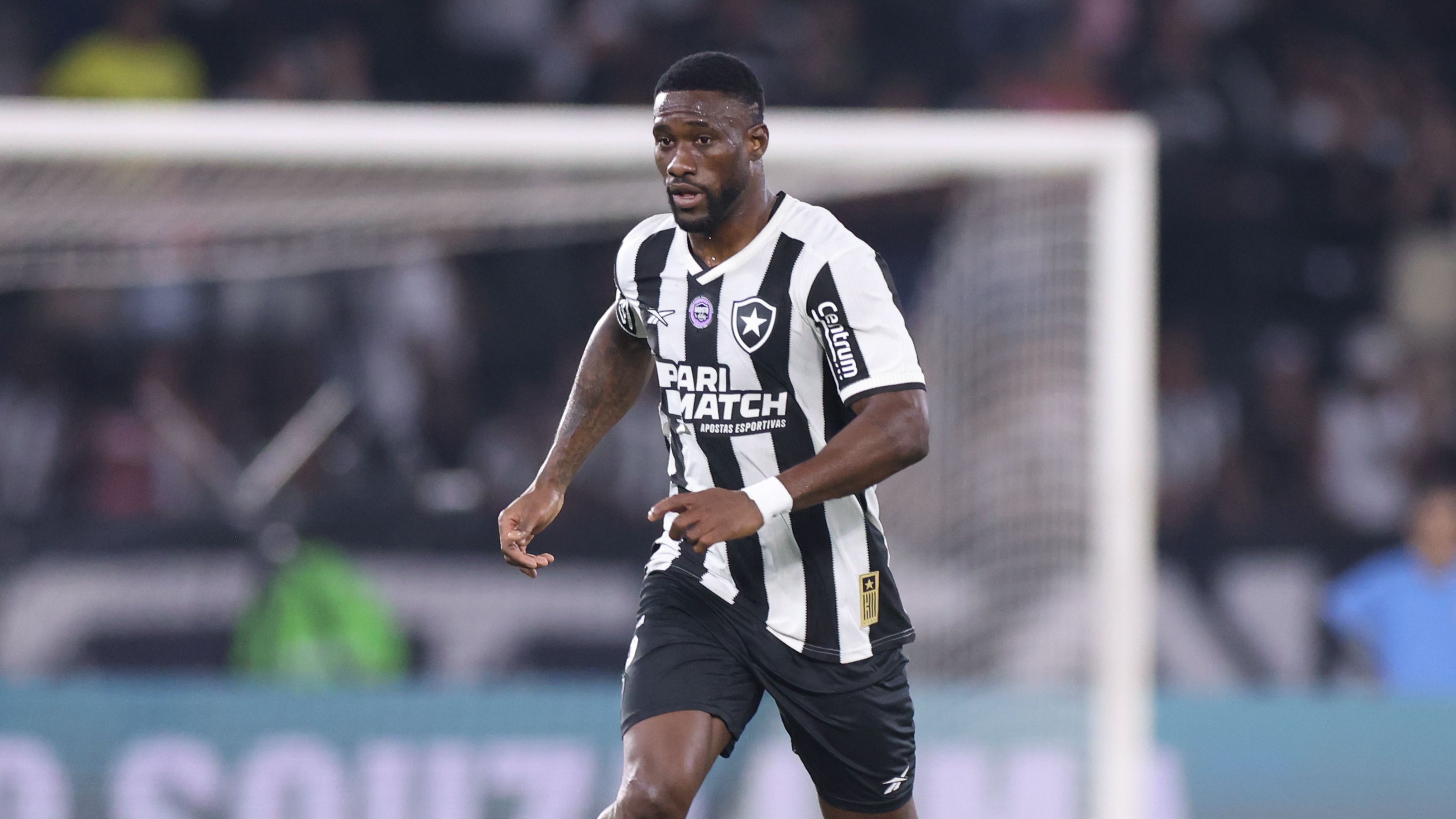 Botafogo v Fortaleza - Brasileirao 2024