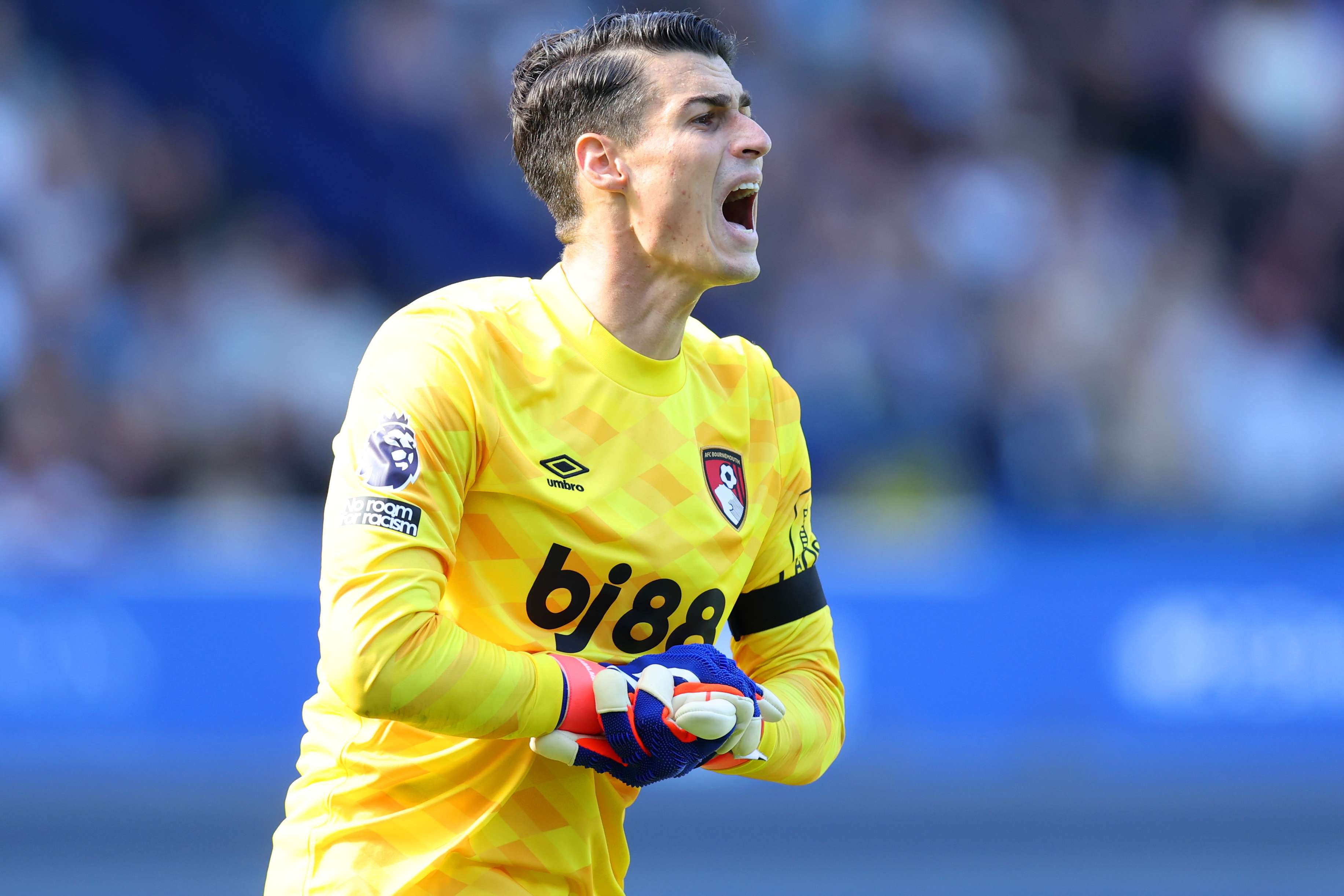 Everton FC v AFC Bournemouth - Premier League