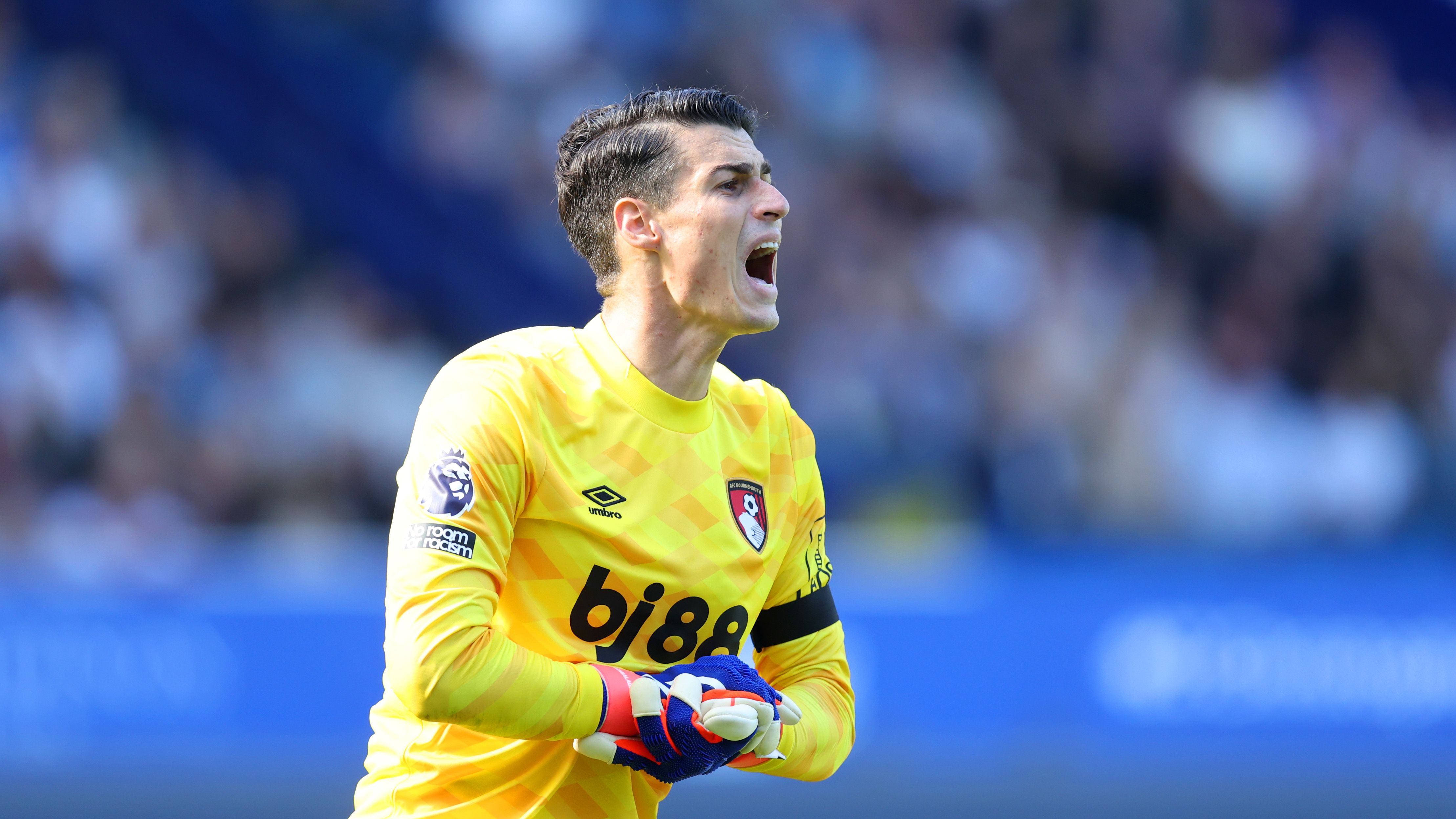 Everton FC v AFC Bournemouth - Premier League