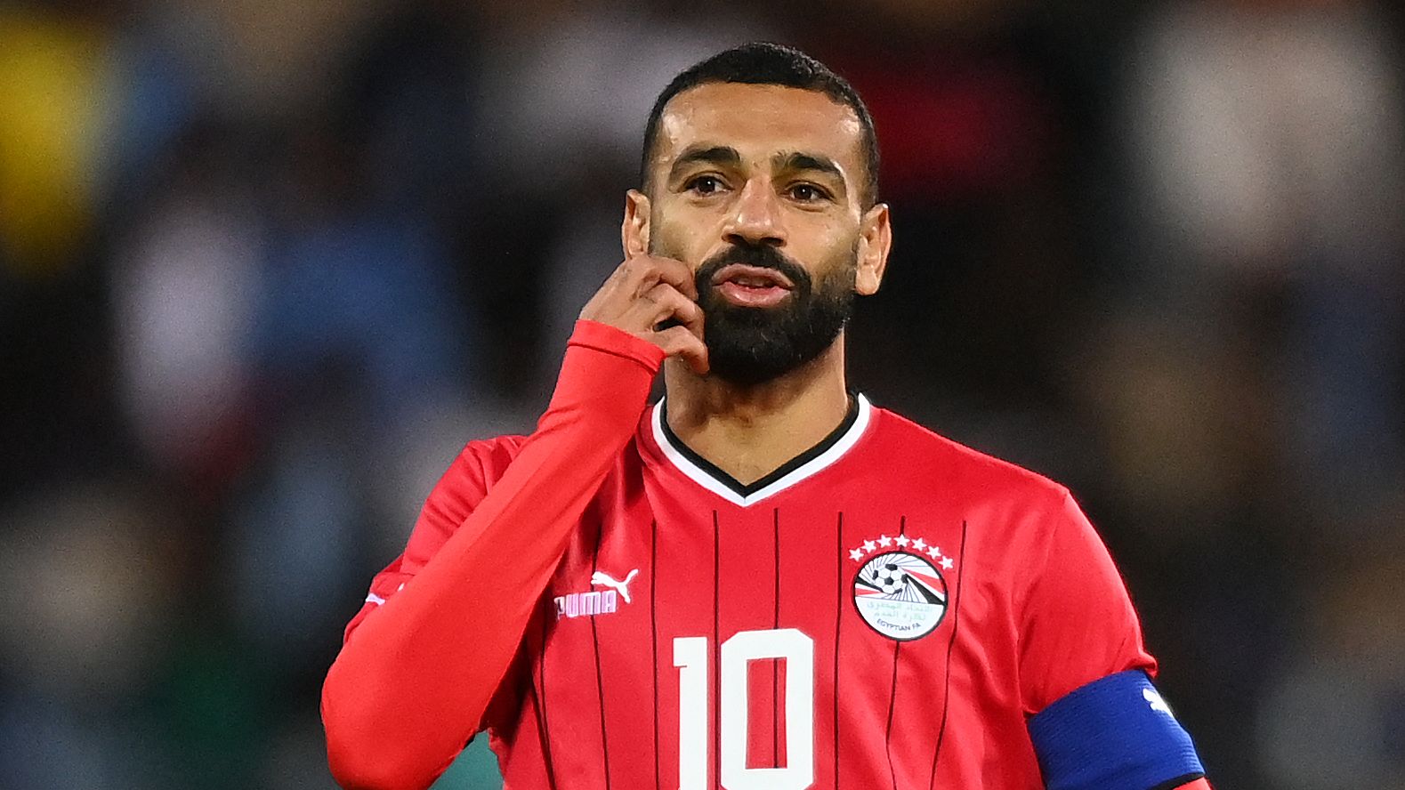 FBL-CAN-20205-QUALIFIER-BOT-EGY