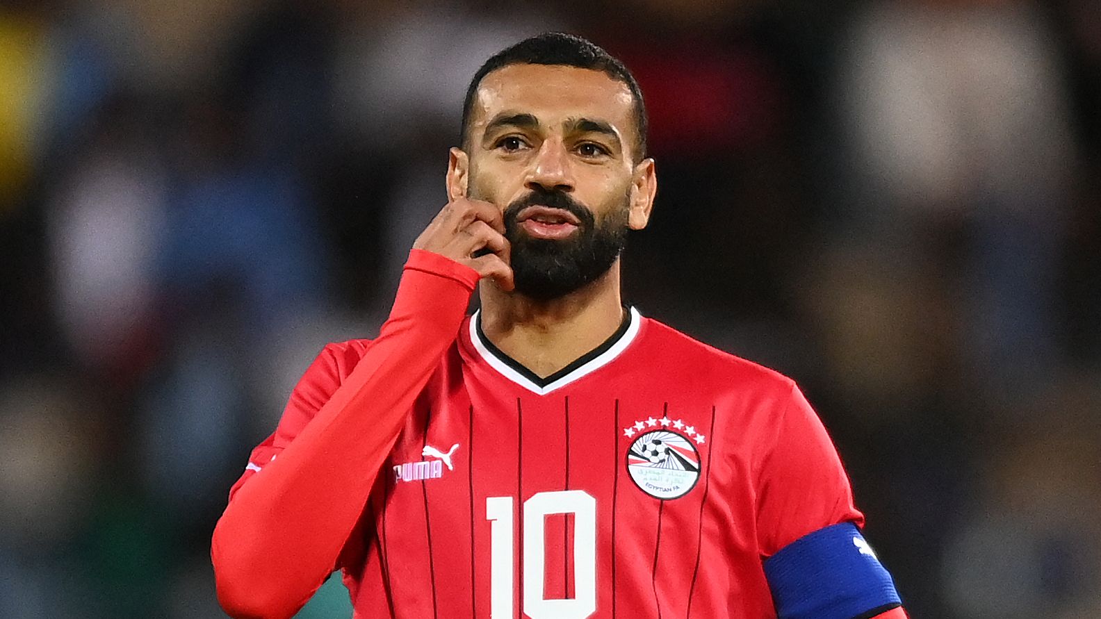 FBL-CAN-20205-QUALIFIER-BOT-EGY