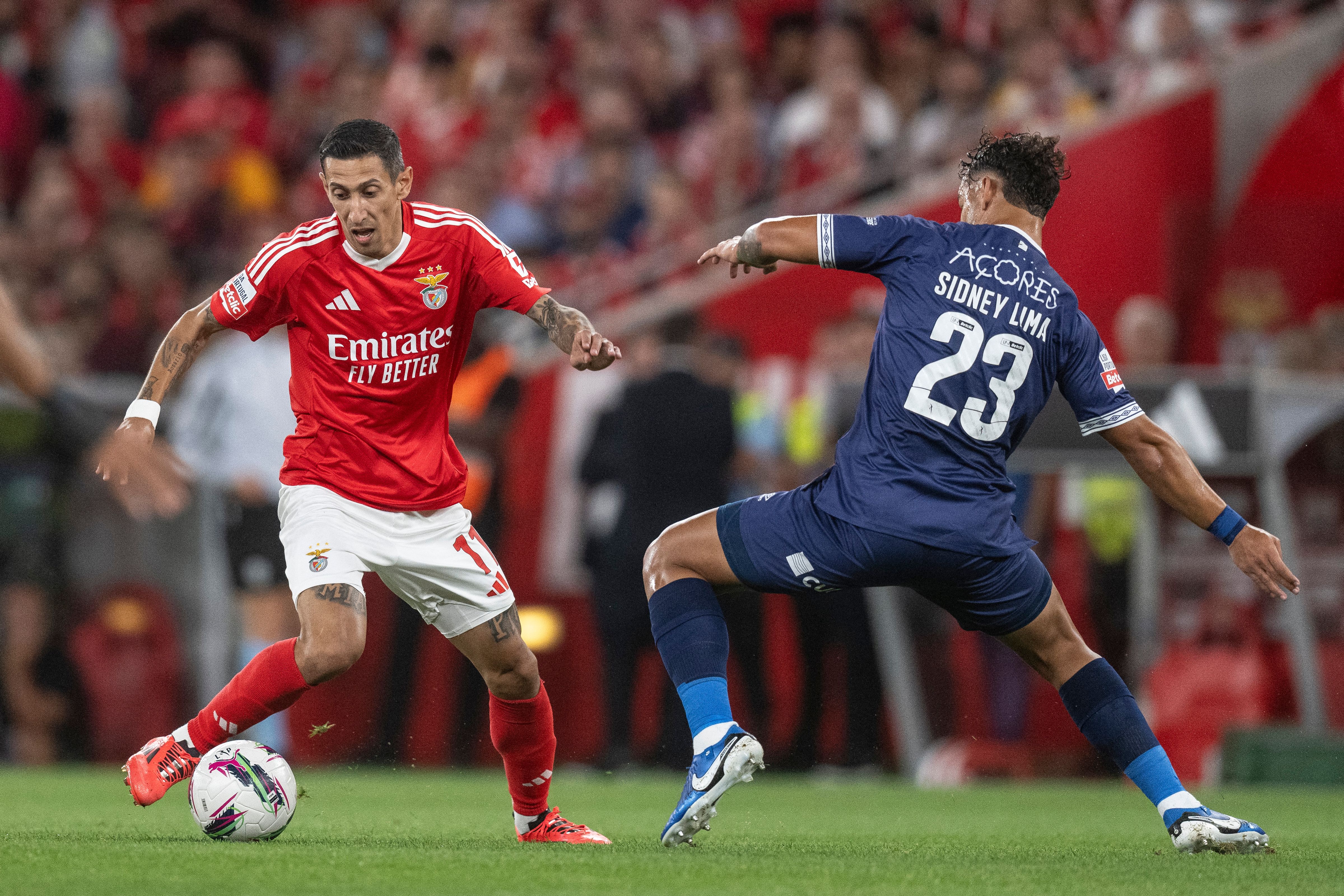 FBL-POR-LIGA-BENFICA-SANTA CLARA