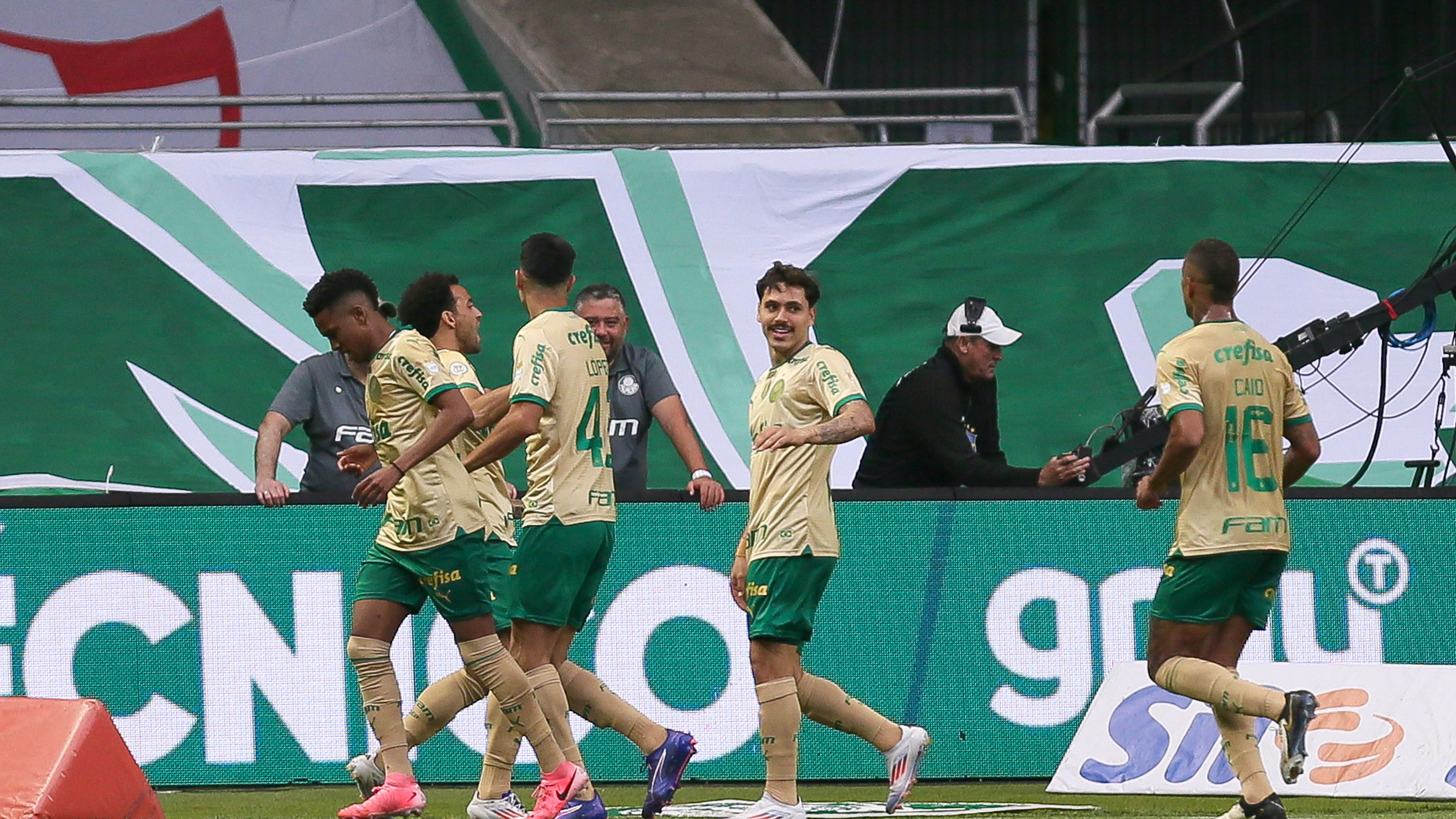 Palmeiras v Criciuma - Brasileirao 2024