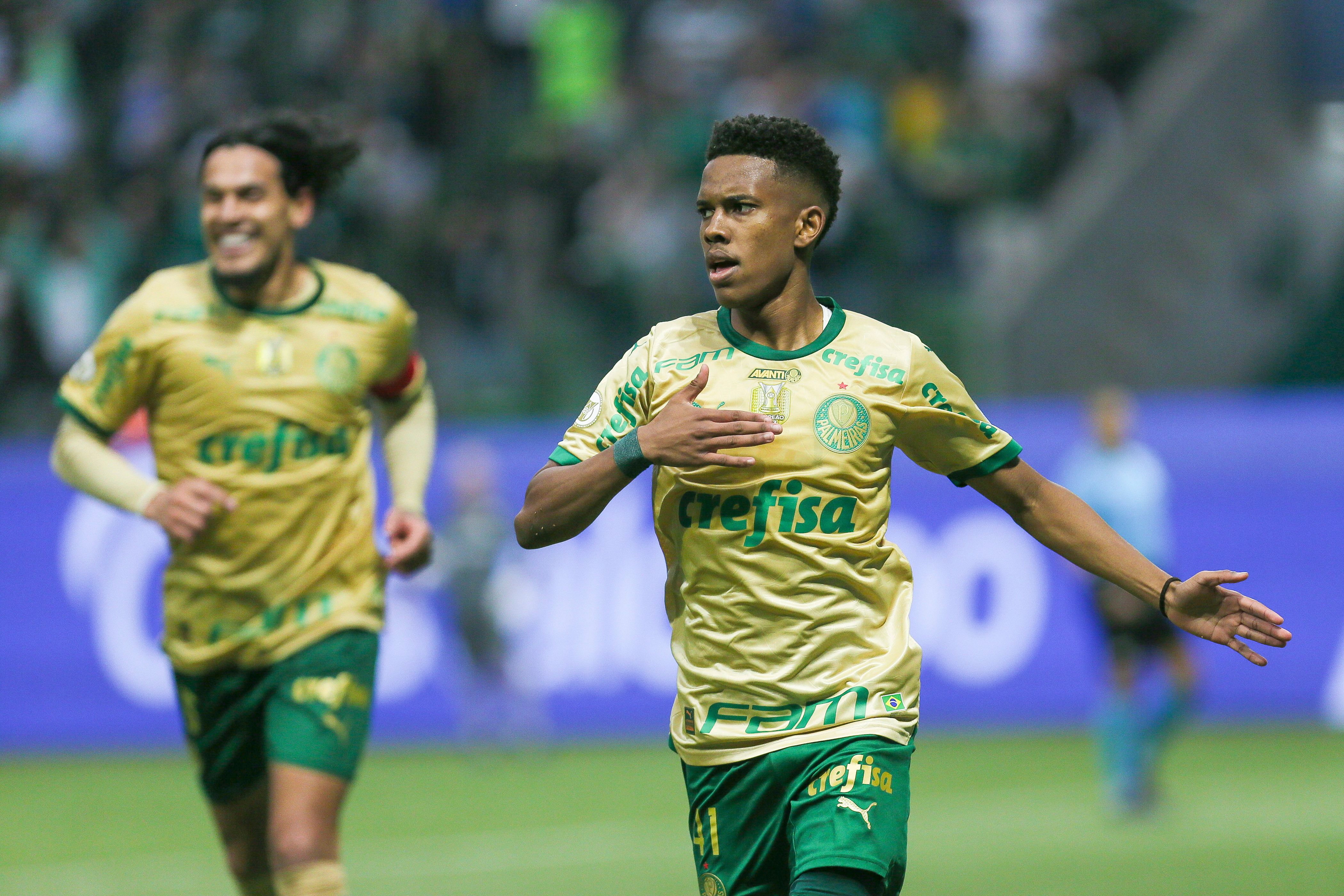 Palmeiras v Criciuma - Brasileirao 2024